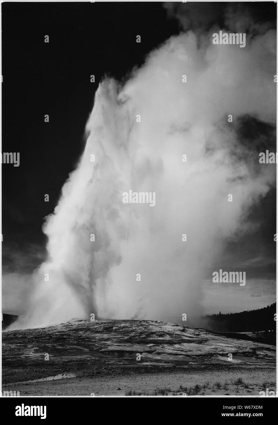 Photograph of Old Faithful Geyser Erupting in Yellowstone National Park ...