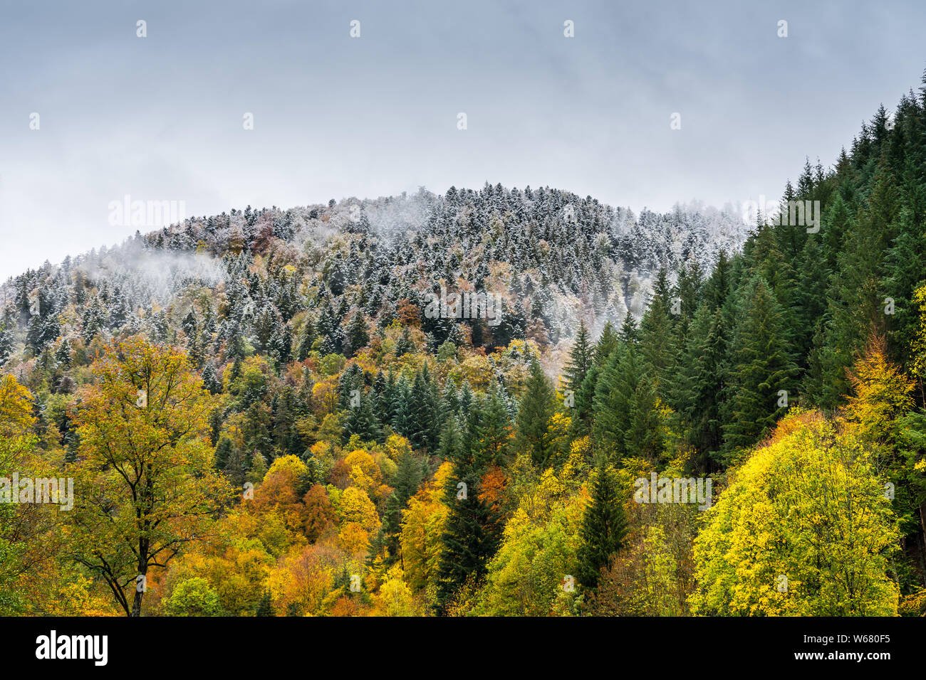 Snow white in enchanted forest hi-res stock photography and images - Alamy