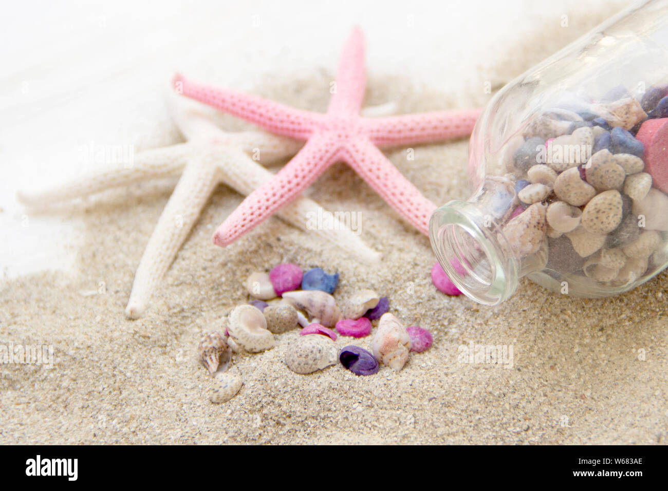 Sea shells and starfish on sand Stock Photo - Alamy