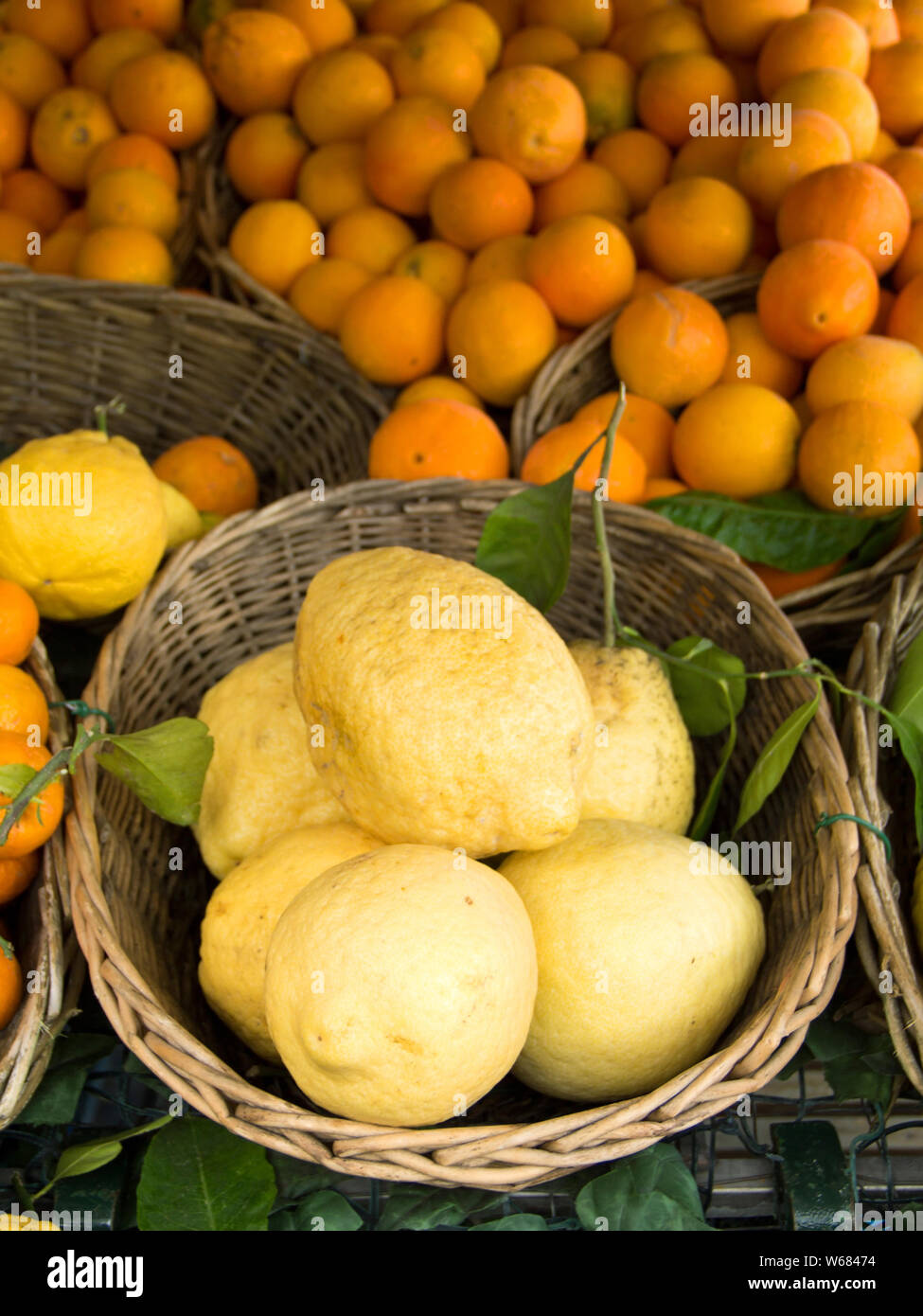 Sorrento lemons on the market Stock Photo