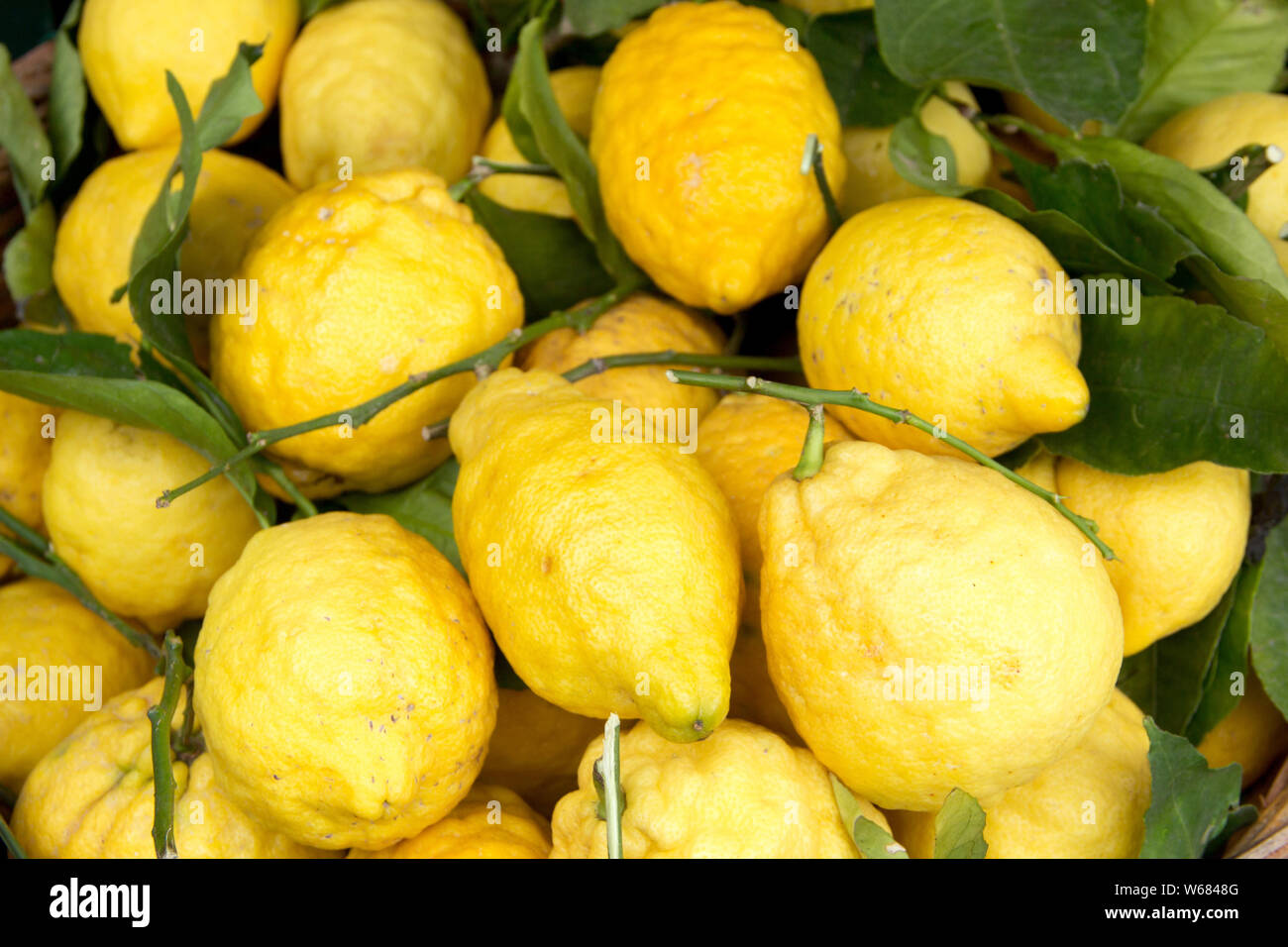 Sorrento lemons on the market Stock Photo