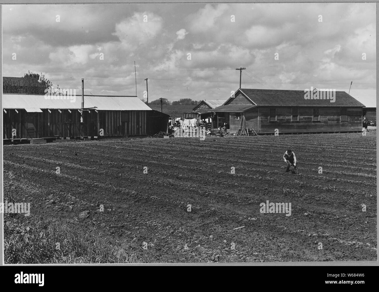 Ryer Island, Sacramento County, California. Ranch housing for Japanese and Filipino asparagus worker . . .; Scope and content:  Full caption reads as follows: Ryer Island, Sacramento County, California. Ranch housing for Japanese and Filipino asparagus workers in world's largest asparagus growing district. Seen across asparagus field. The Japanese barracks in the building to the left. Housing for the Filipino field crew in building to the right. Stock Photo