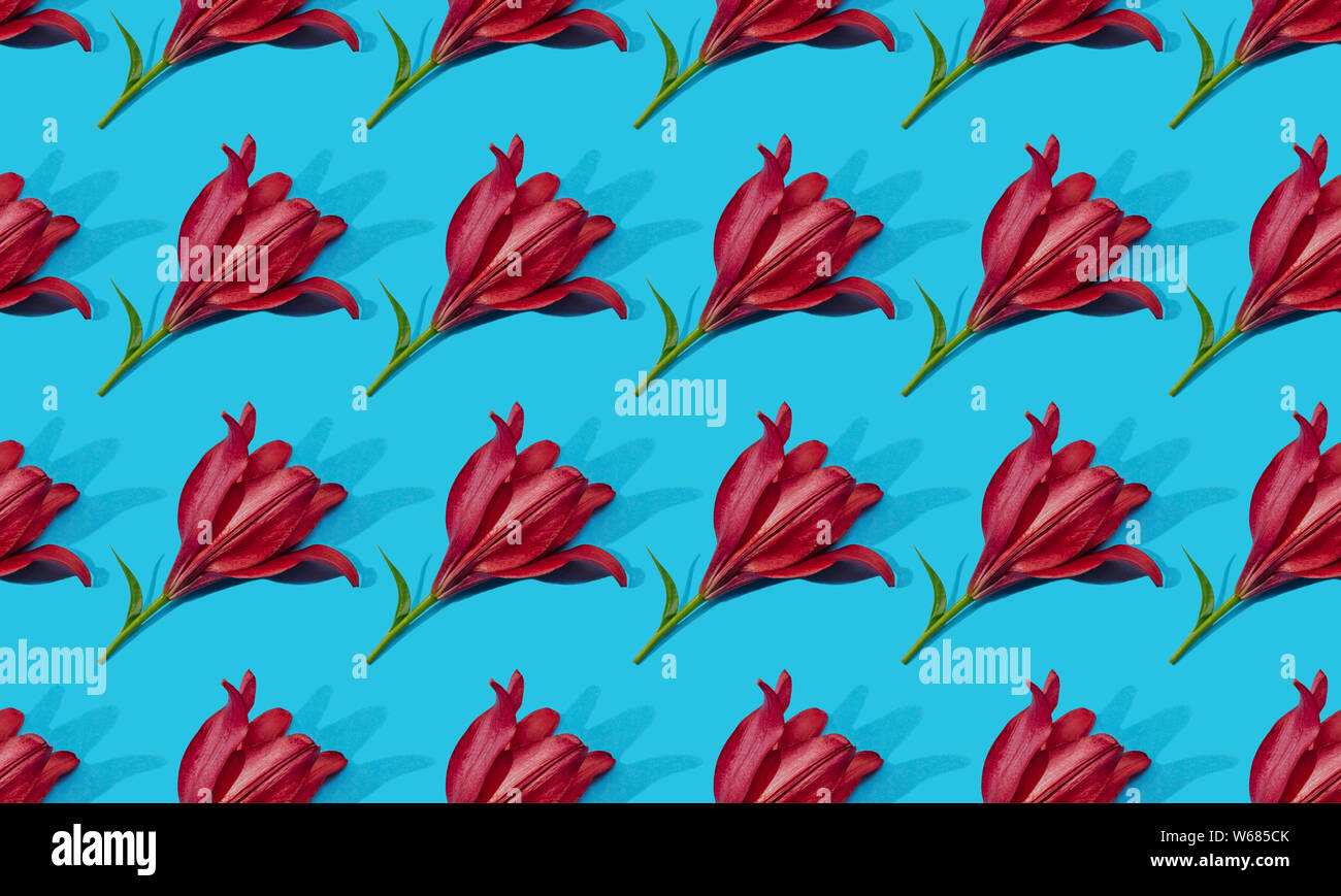 Seamless pattern of red lilies on blue background trend flat lay ...