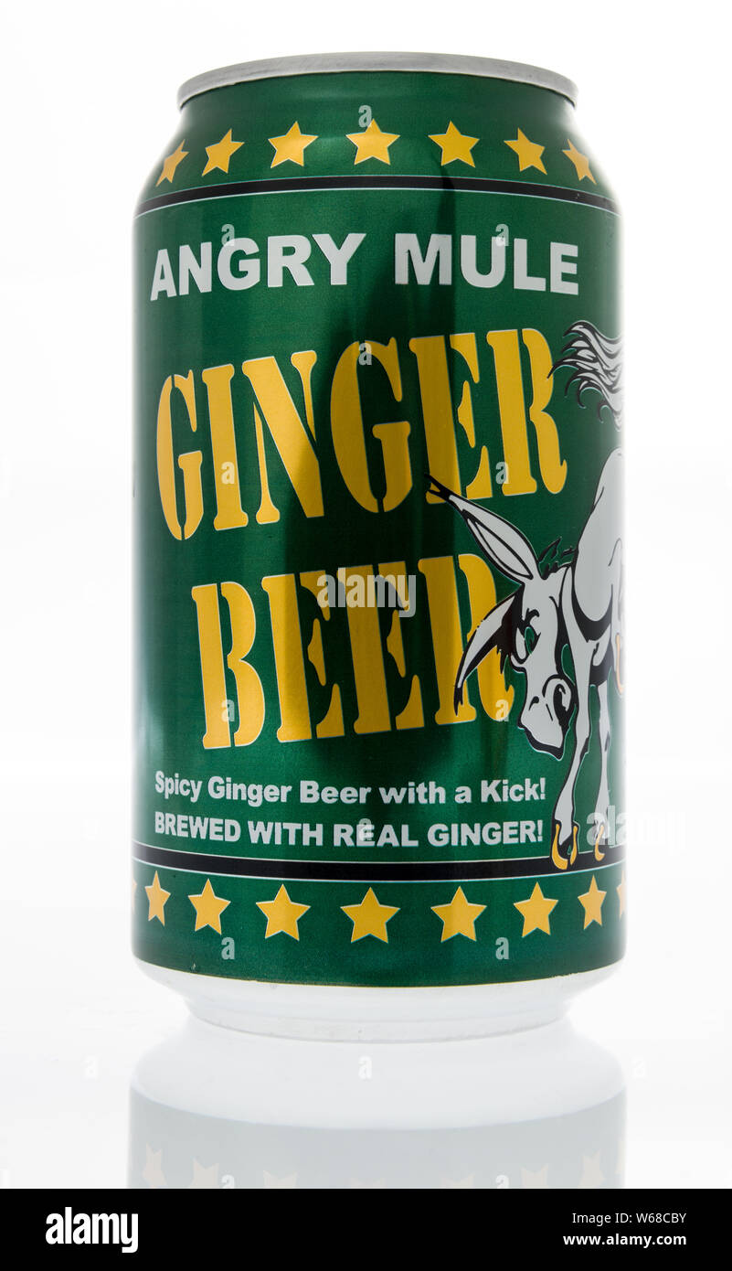 Winneconne, WI - 29 June 2019 : A canb of Angry Mule ginger beer made in Wisconsin on an isolated background Stock Photo