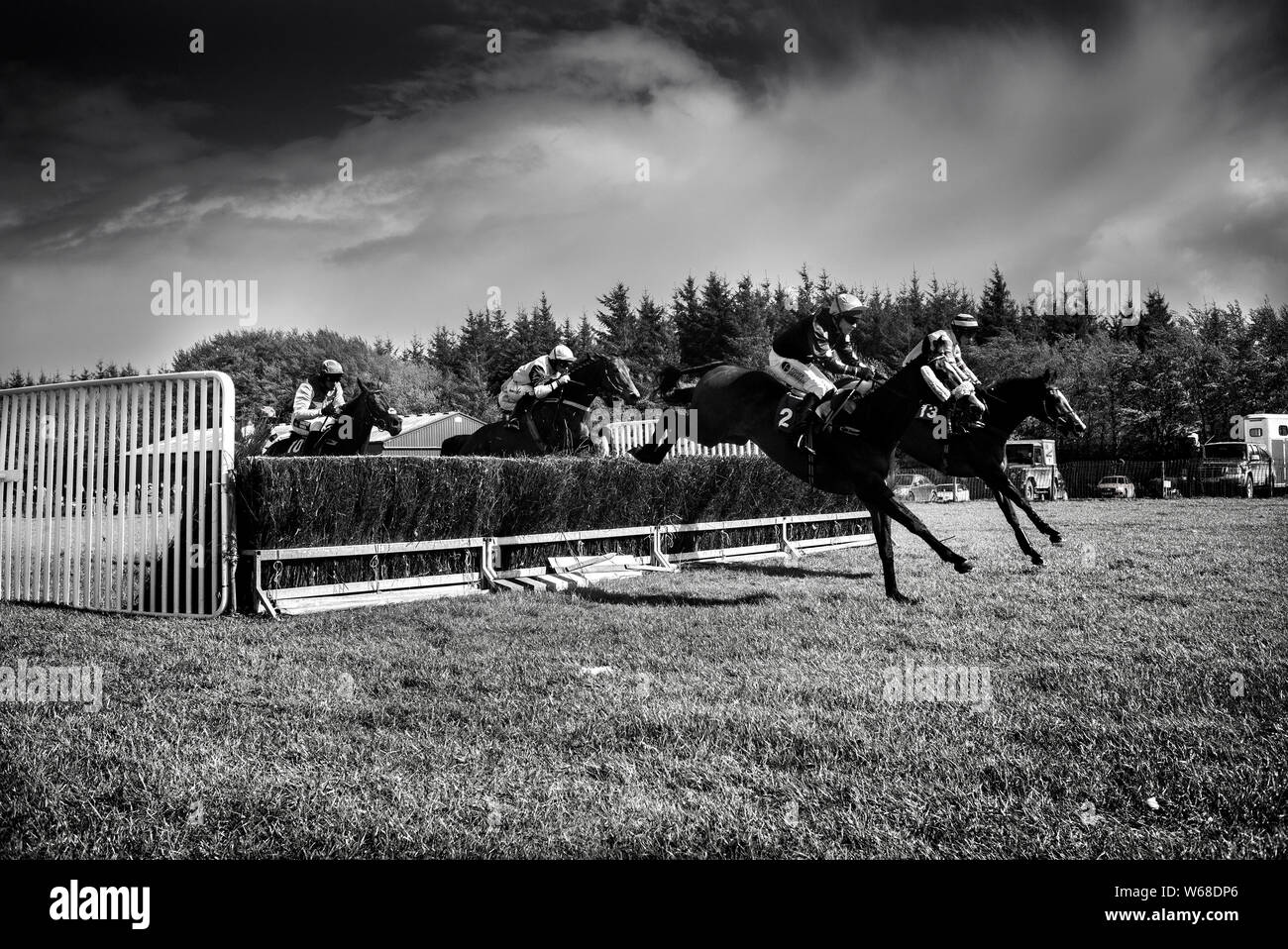 horses jumping over fences at the four burrow hunt point to point horse
