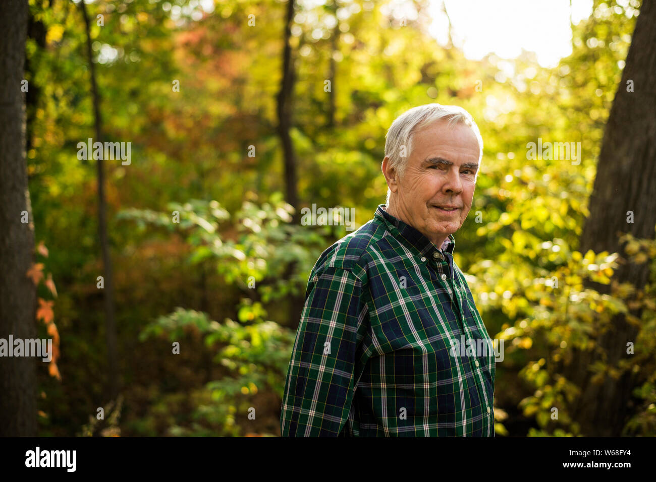 Senior man in the woods. Stock Photo