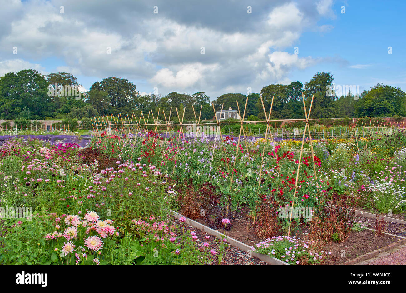 GORDON CASTLE GARDENS FOCHABERS MORAY SCOTLAND THE EXTENSIVE WALLED GARDEN FLOWER BEDS WITH