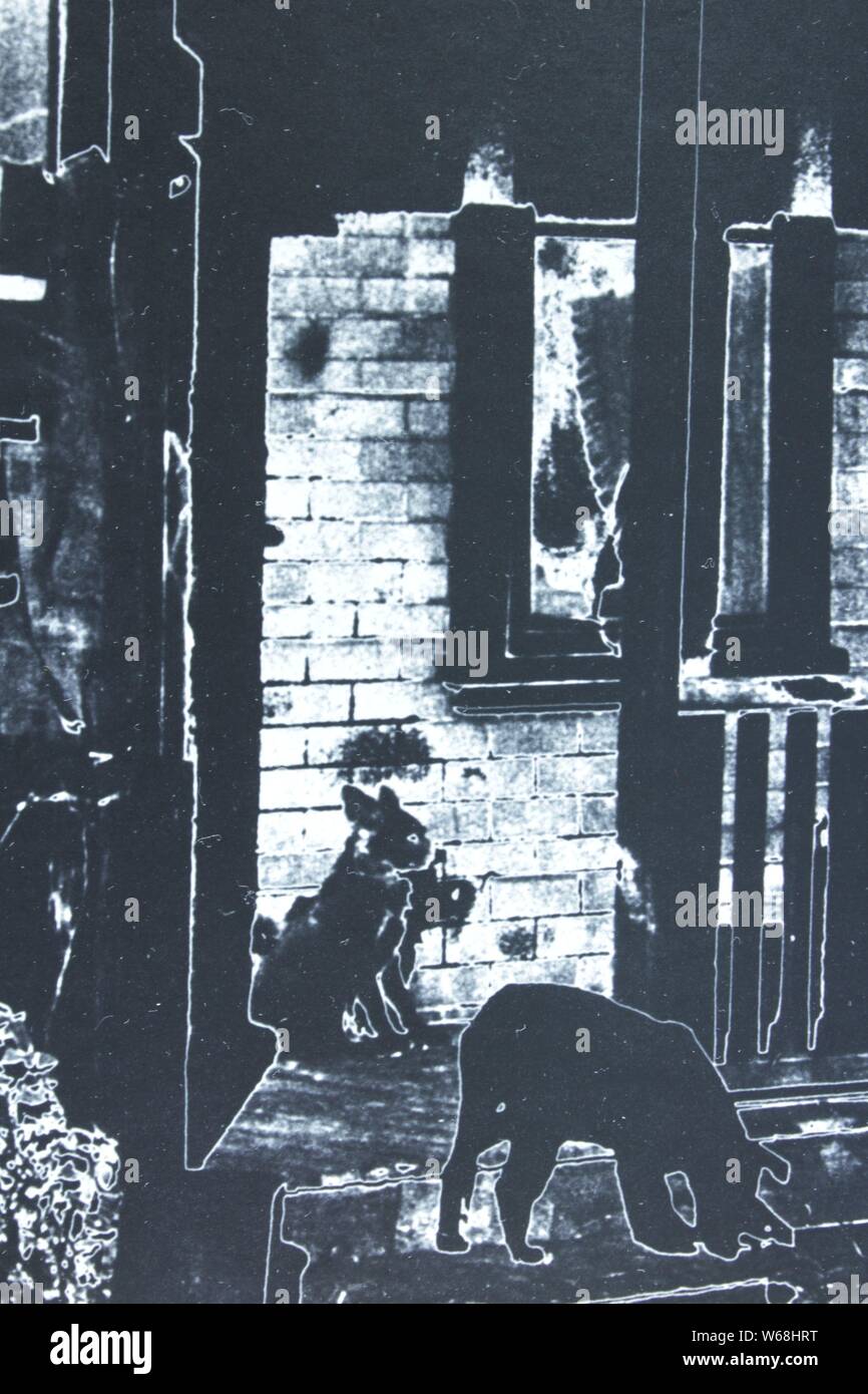 Fine black and white art photography from the 1970s of a decrepit old ...