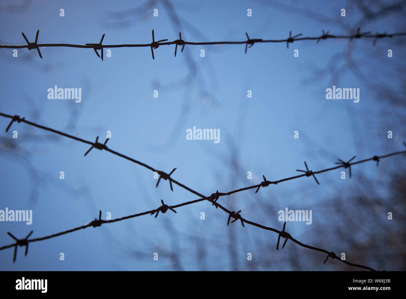 Rows of barbed wire against a dark blue sky, blurred image Stock Photo