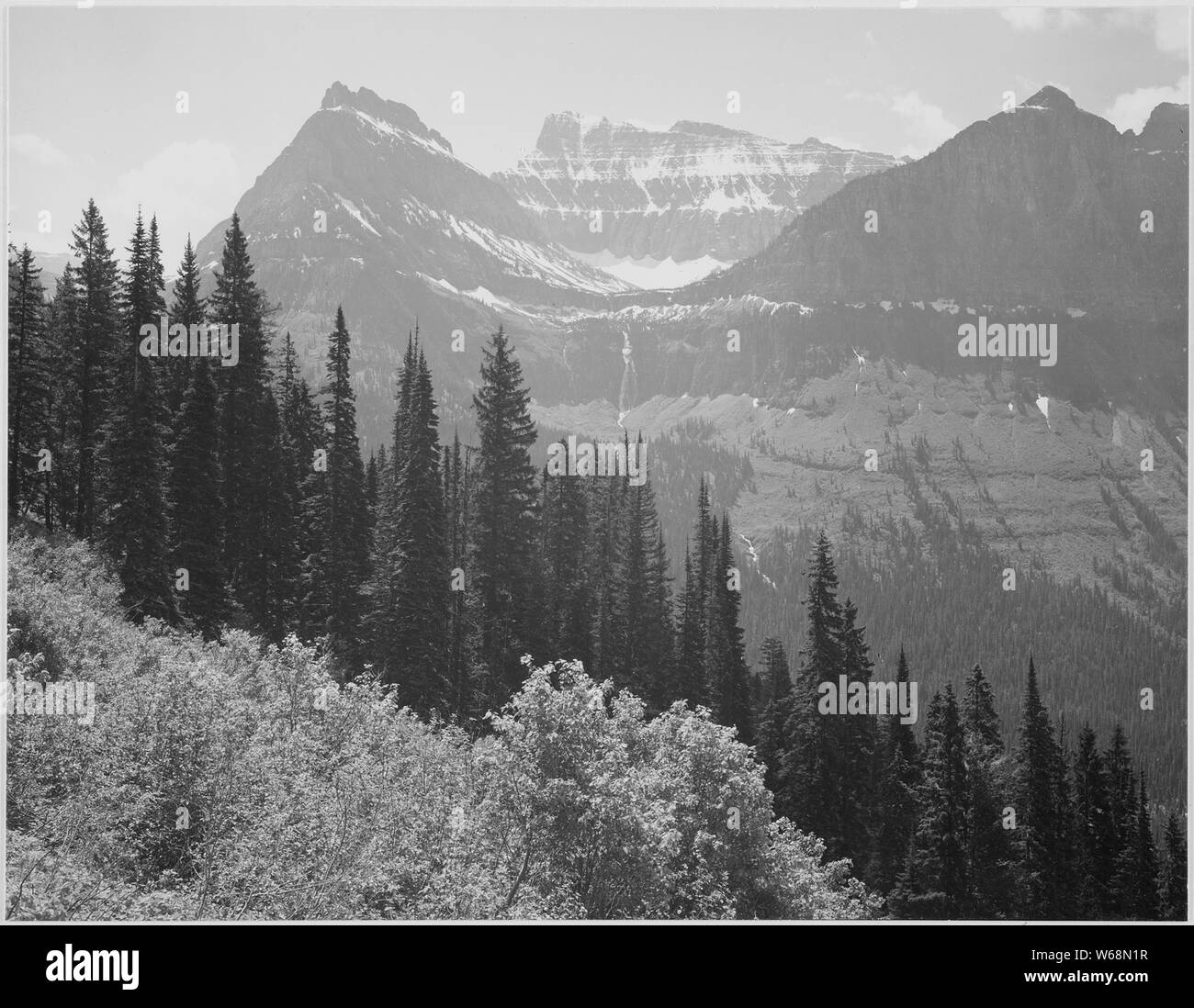 Trees and bushes in foreground, mountains in background, In Glacier National Park, Montana., 1933 - 1942 Stock Photo