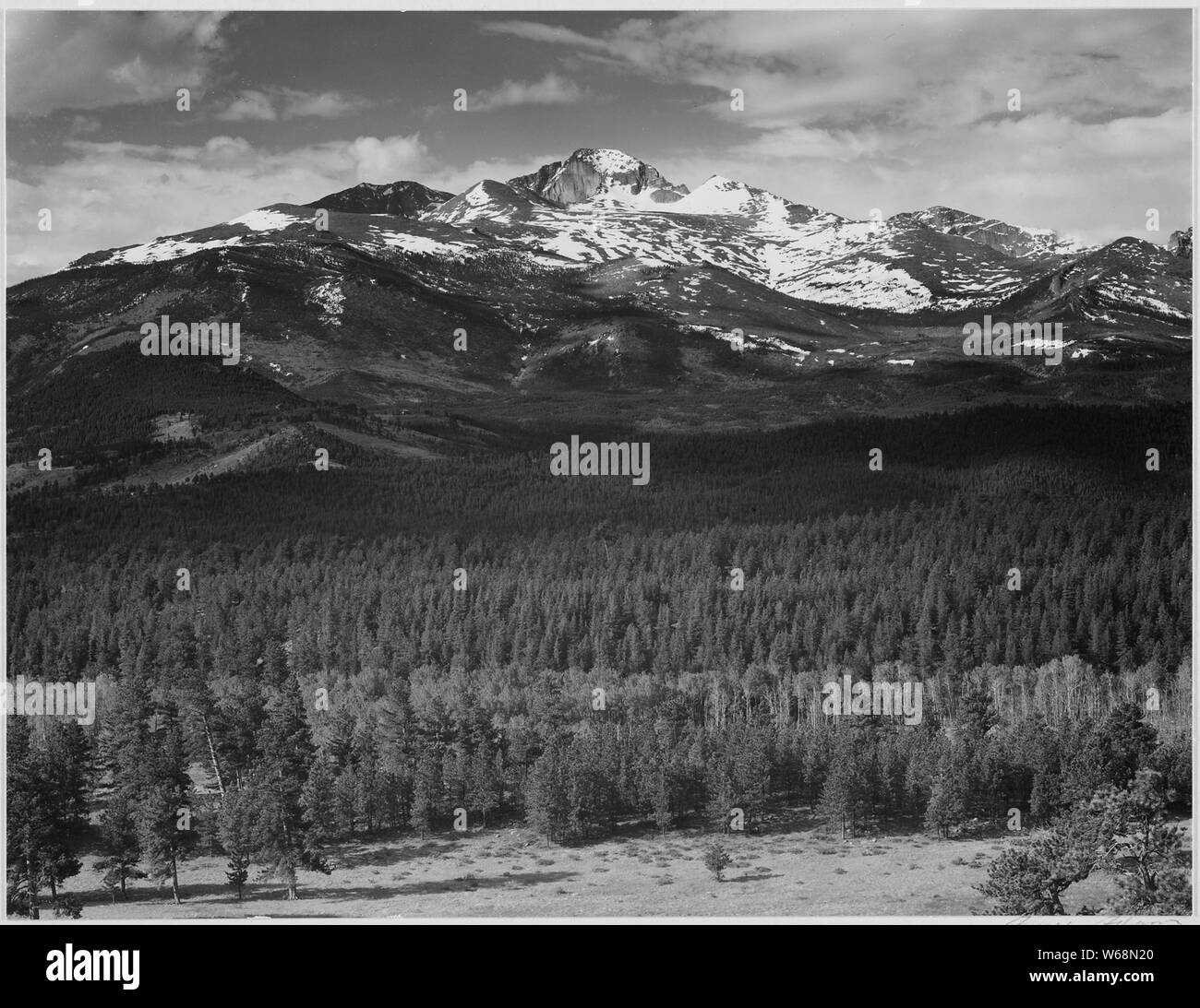 Trees in foreground, snow covered mountain in background, Long's Peak from North, Rocky Mountain National Park, Colorado., 1933 - 1942 Stock Photo