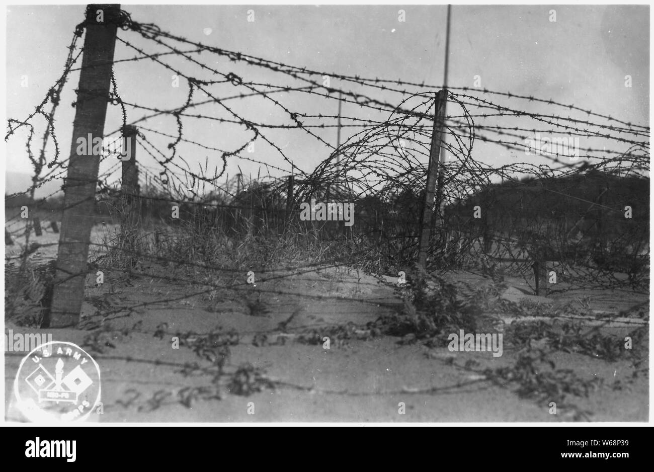 Typical barbed wire entanglements, HDC; Scope and content:  Beginning with the Civil War, the U.S. Army recognized a need to provide for coastal defenses in the Pacific NW along the Columbia River and in the Puget Sound. A number of forts, many no longer in service, were built for this purpose. Stock Photo