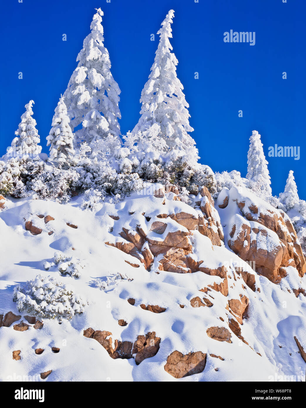Overnight snowfall creates a winter wonderland among the rocky cliffs and trees in southern Oregon's Rogue River National Forest. Stock Photo