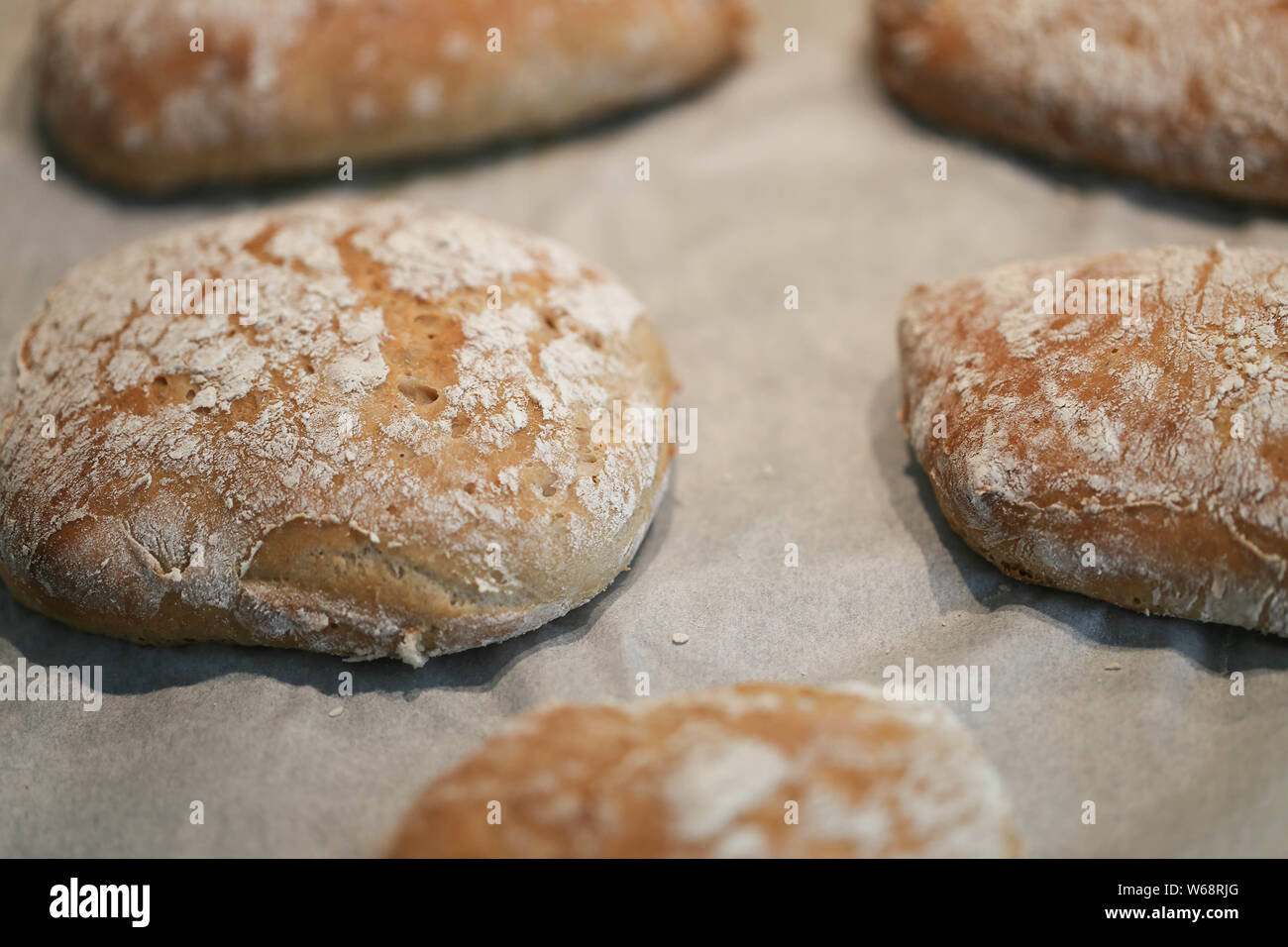 Brötchen Teiglinge Stock Photo