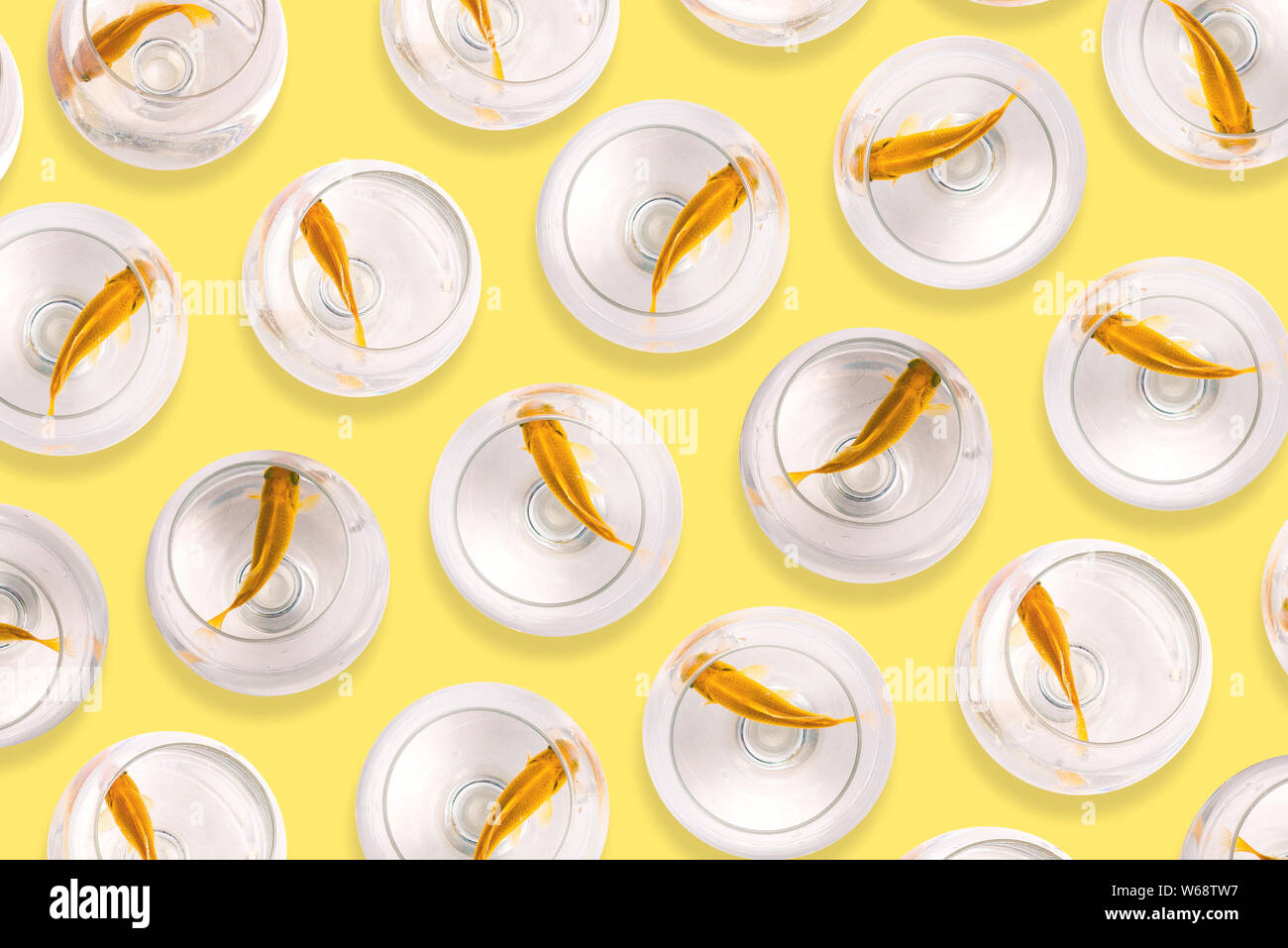 Aquarium fish. Fish in glass goblets on a yellow background. Goldfish swim in the water. Selling and buying fish. Art gallery, creative Stock Photo
