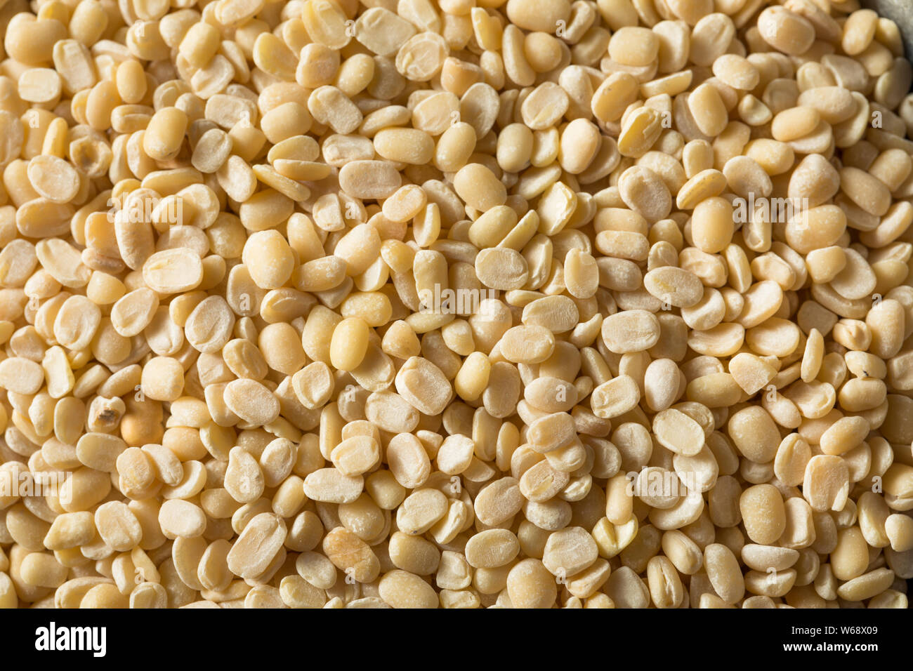 Dry Organic Urad Dal Split Matpe Beans Stock Photo