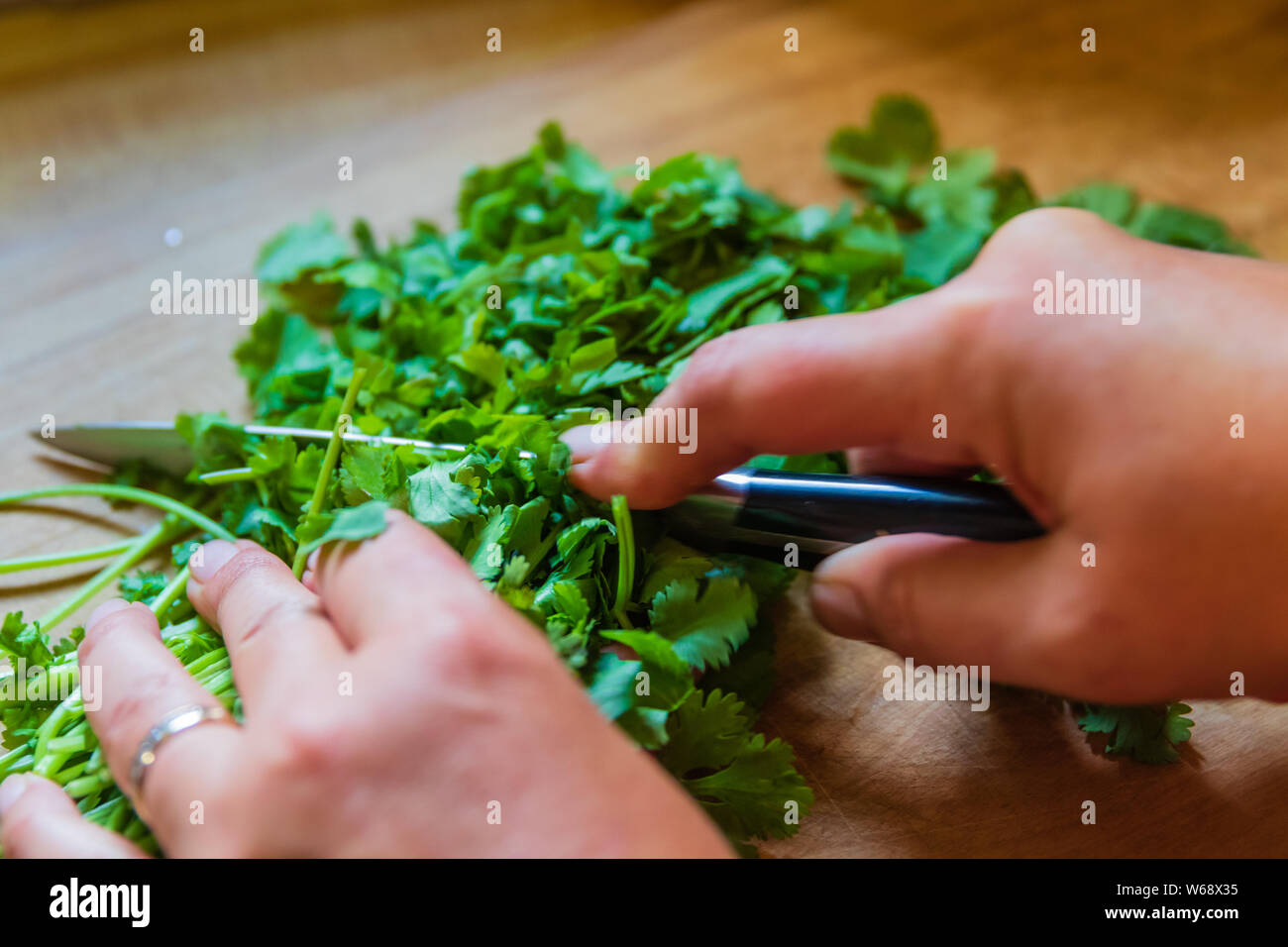 The canning garden fresh vegetables , Teresita, Oklahoma 2019 Stock