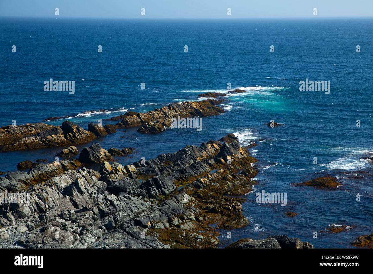 Powles Head coast, Trepassey, Newfoundland and Labrador, Canada Stock