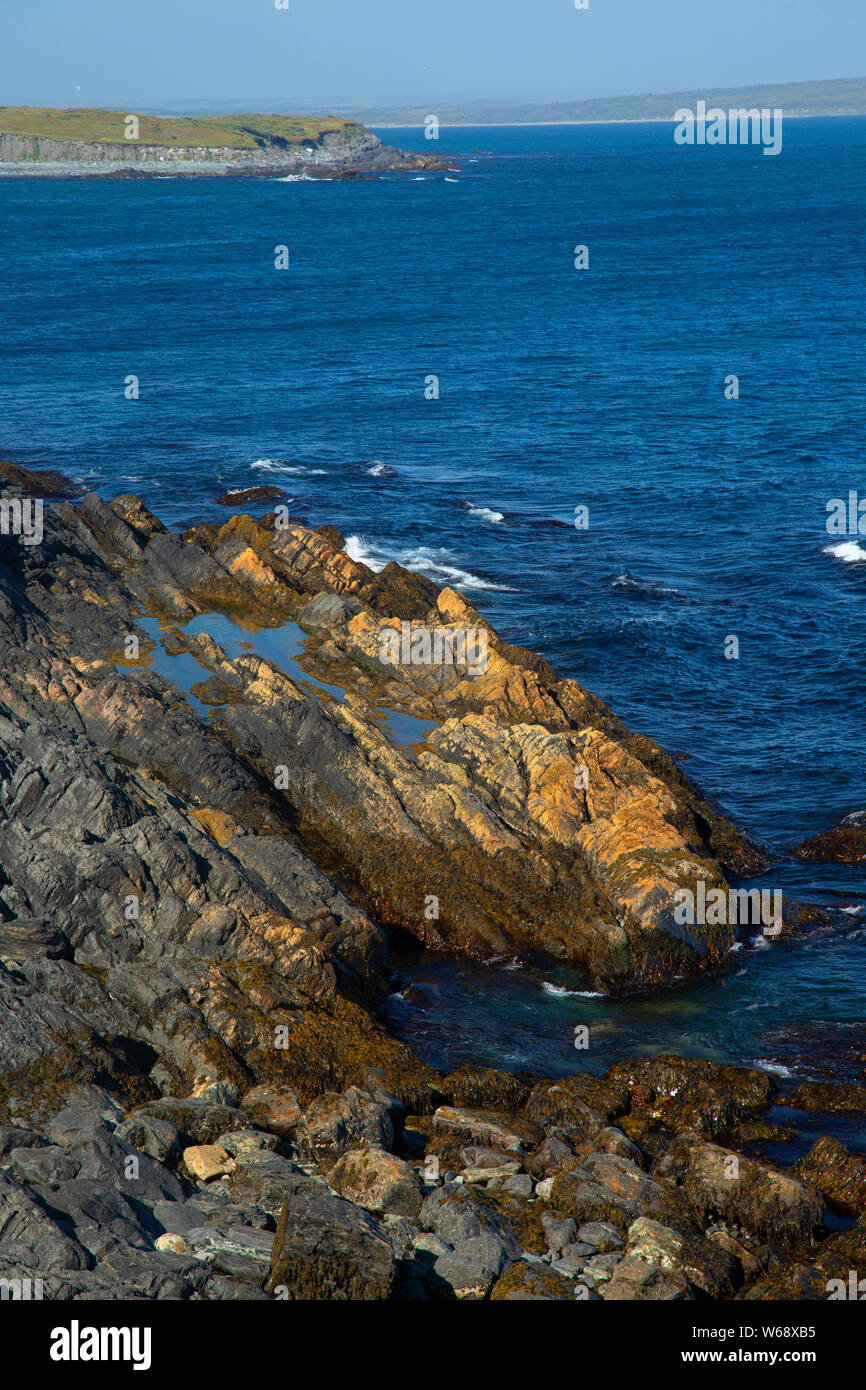 Powles Head coast, Trepassey, Newfoundland and Labrador, Canada Stock