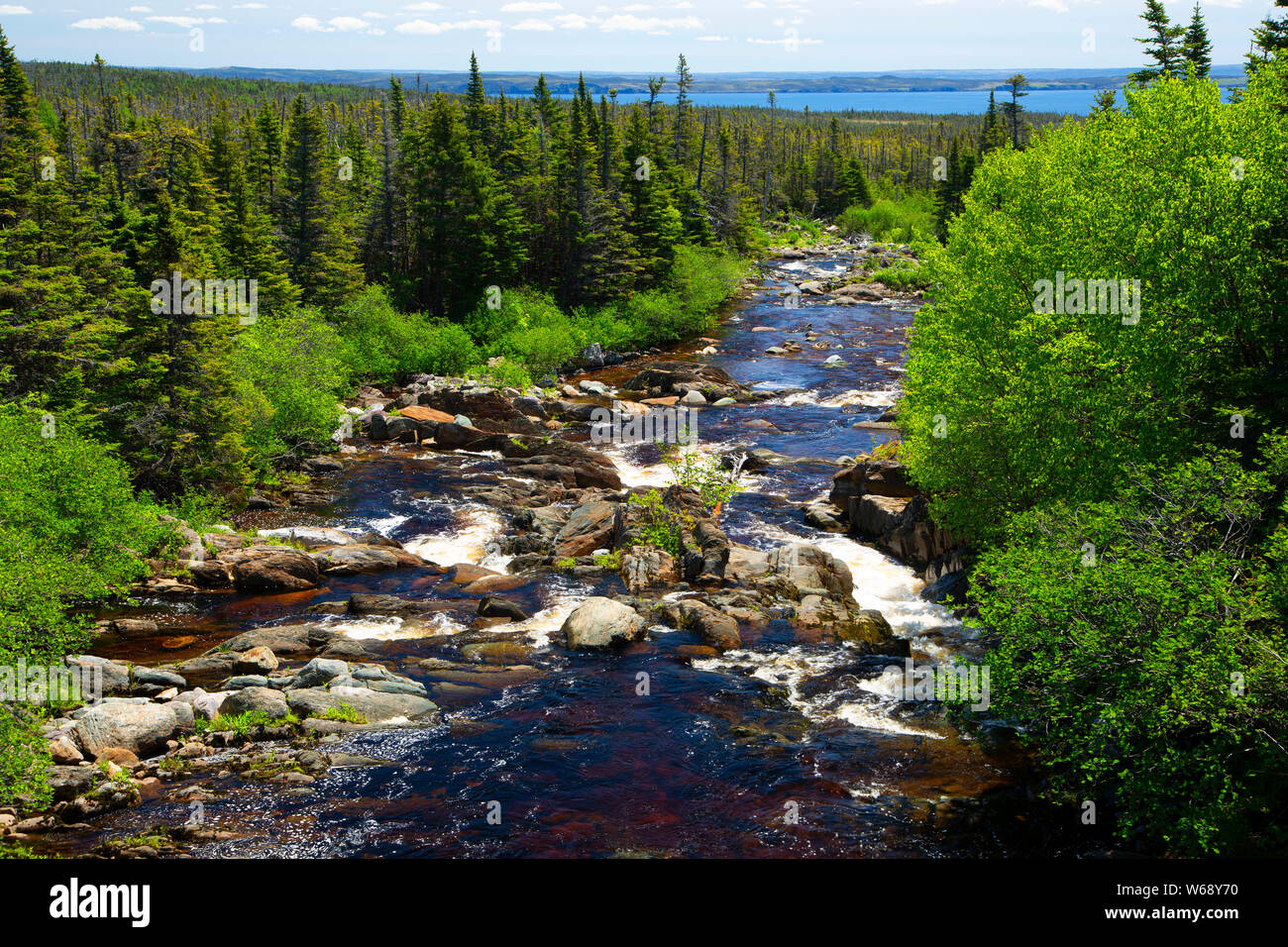 Little barachois river hires stock photography and images Alamy