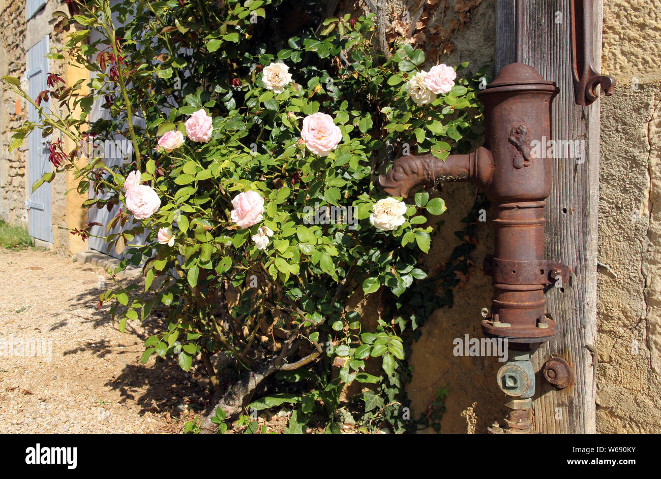 cottage Burgundy France Stock Photo