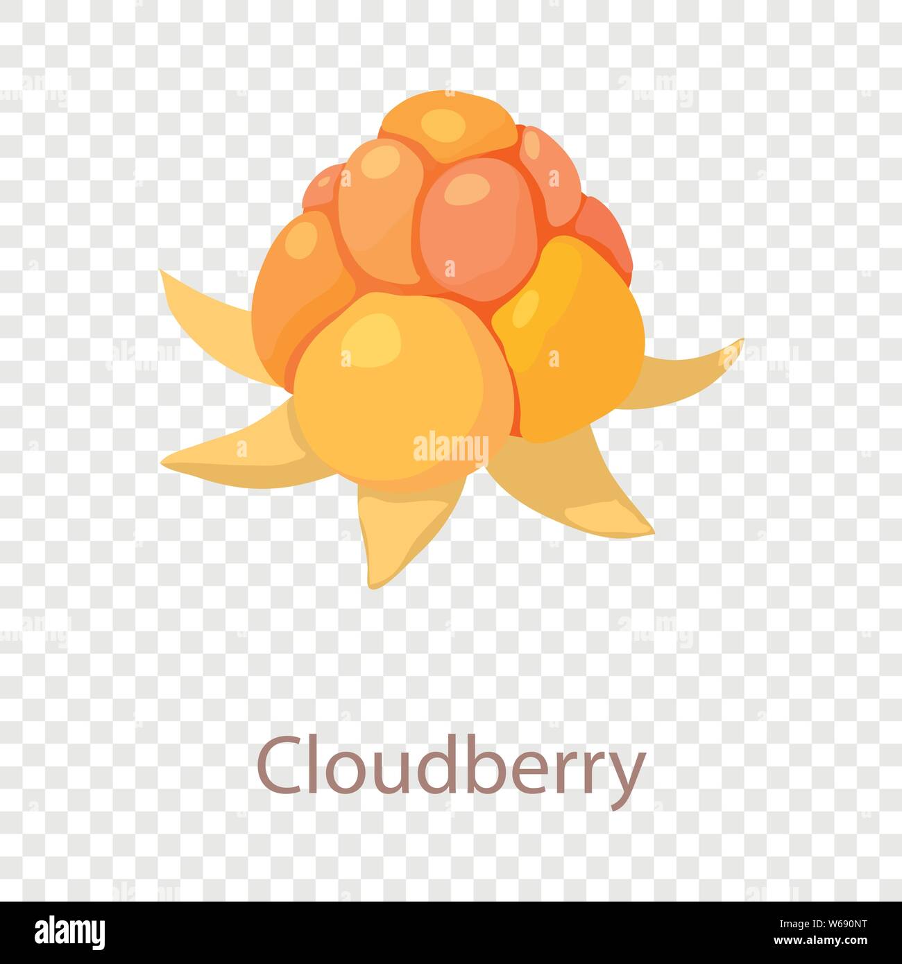Cloudberry icon, isometric 3d style Stock Vector