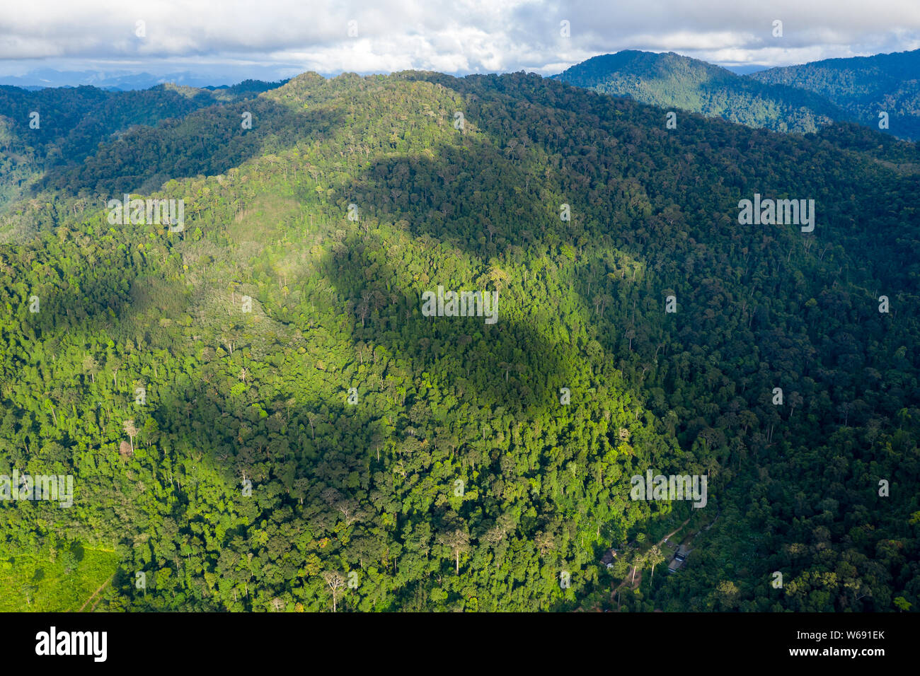 Rainforest dense asia jungle hi-res stock photography and images - Alamy