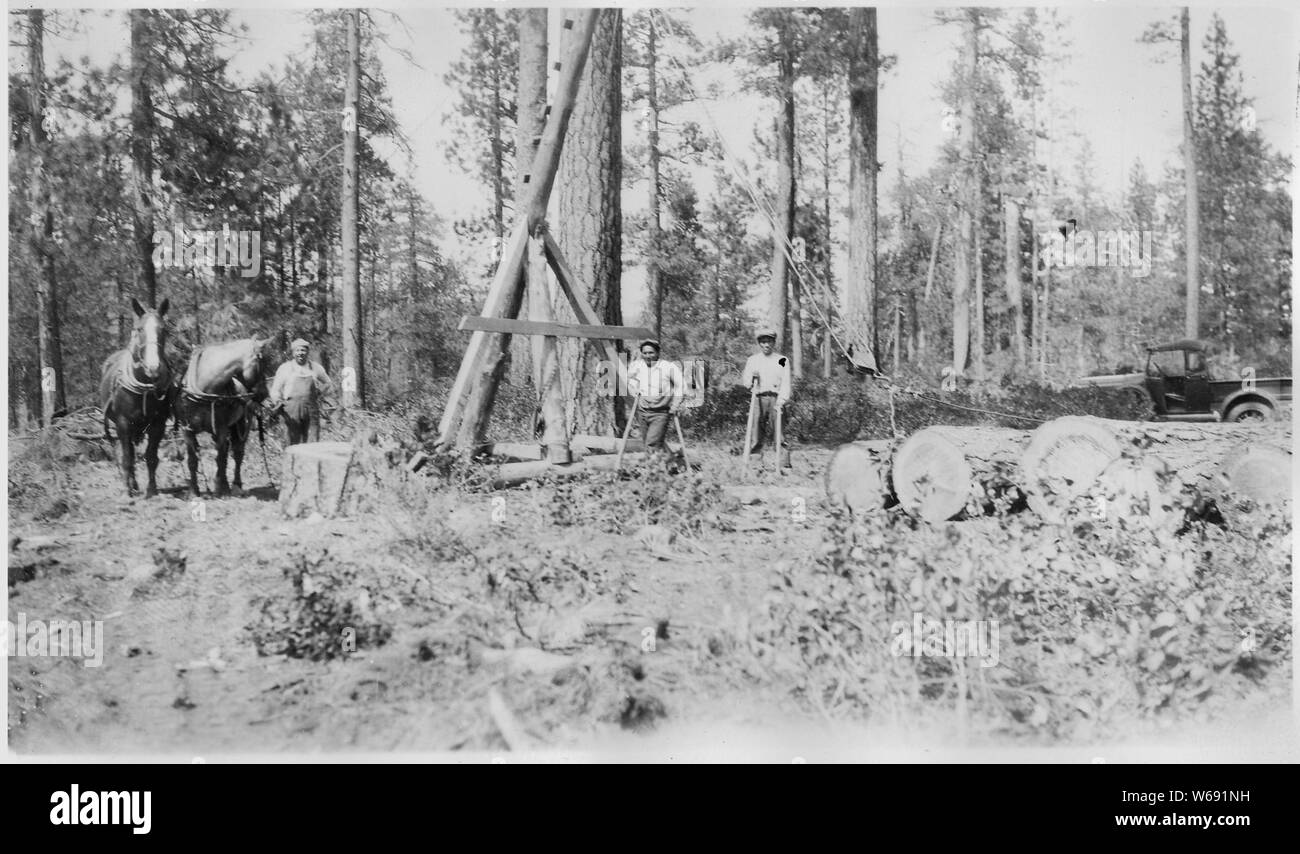 Warm Springs Reservation. Jammer for loading logs; Scope and content