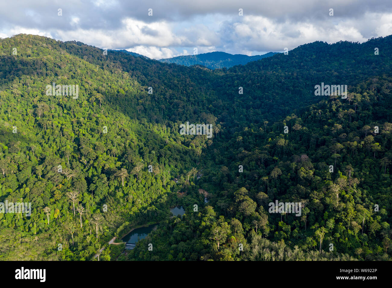 Rainforest canopy drone hi-res stock photography and images - Alamy