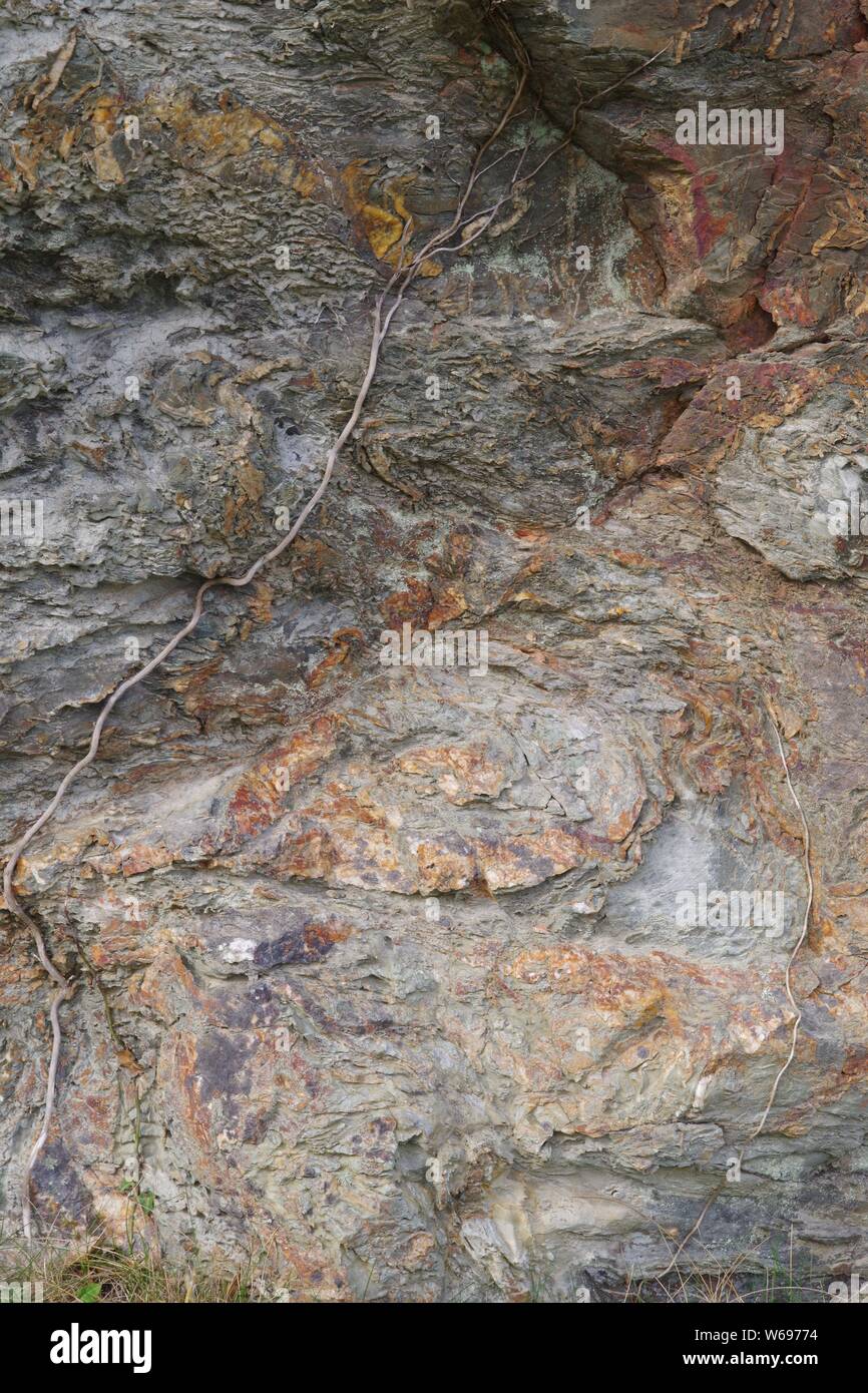 Orange Metasedimentary Rock Face, at St Agnes, Former Tin Mining Region. North Cornwall, UK. Stock Photo