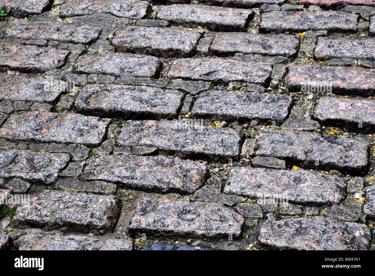Traditional cobbles on a wet cobbled street in Stockport, Greater ...