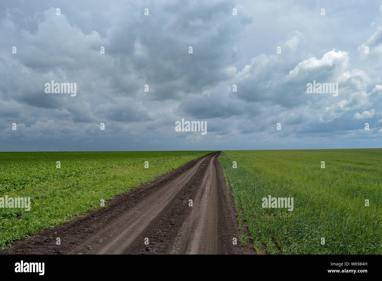 Tambov District, Tambov region, Russia. 31st July, 2019. Road to the field Credit: Demian Stringer/ZUMA Wire/Alamy Live News Stock Photo