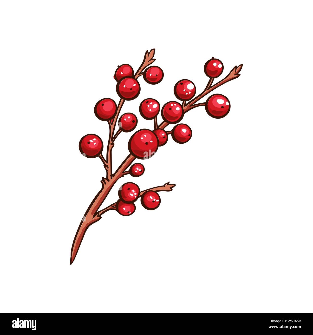 Christmas berry holly or ilex. Red xmas branch with red berries. Winter aquifolium leaves decor. Christmas berry traditional isolated vector symbol Stock Vector