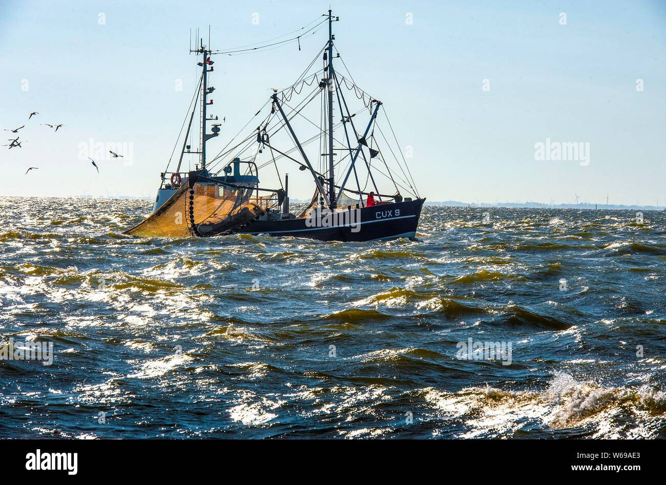 GERMANY, HAMBURG, CUXHAVEN, Shrimp fishing boat in operation near