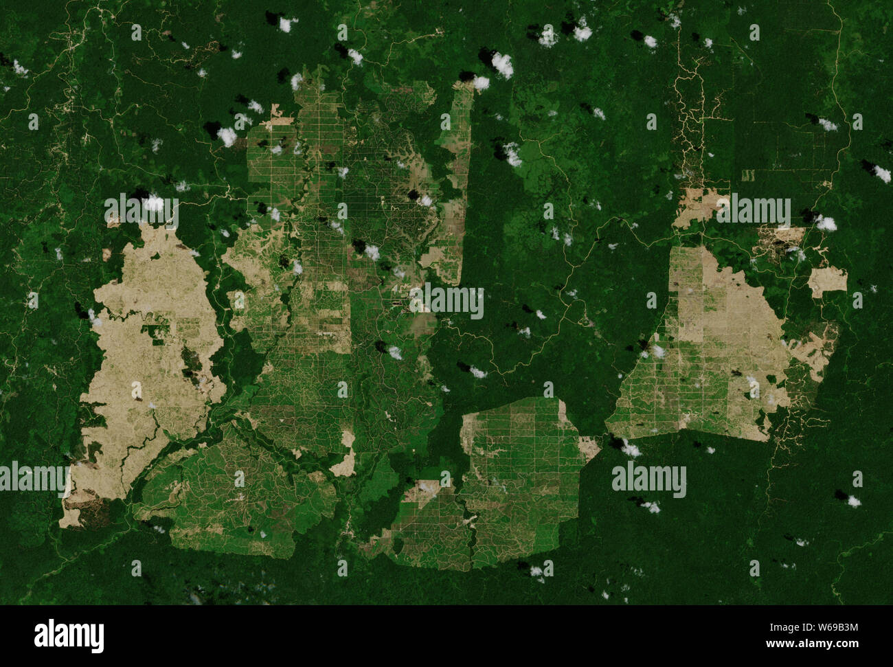 Palm oil plantations in East Kalimantan in Indonesia seen from space - contains modified Copernicus Sentinel Data (2019) Stock Photo