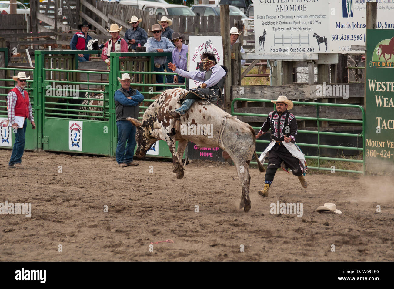 This cowboy is bull riding at the annual 4th of July rodeo Loggerodeo
