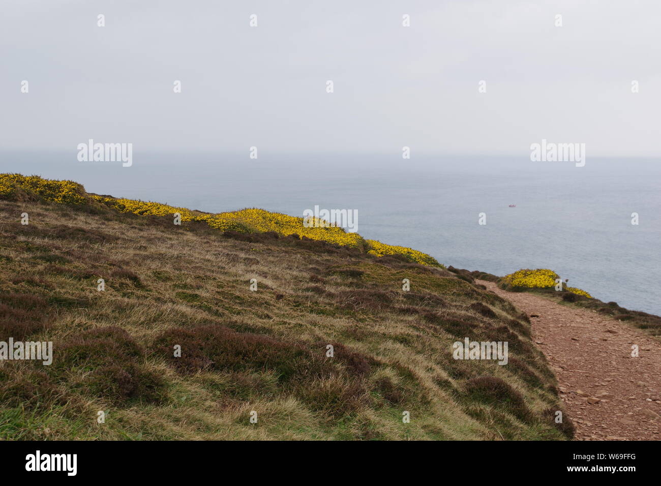 Rugged North Cornish Coast at St Agnes head on an Overcast Spring Day ...