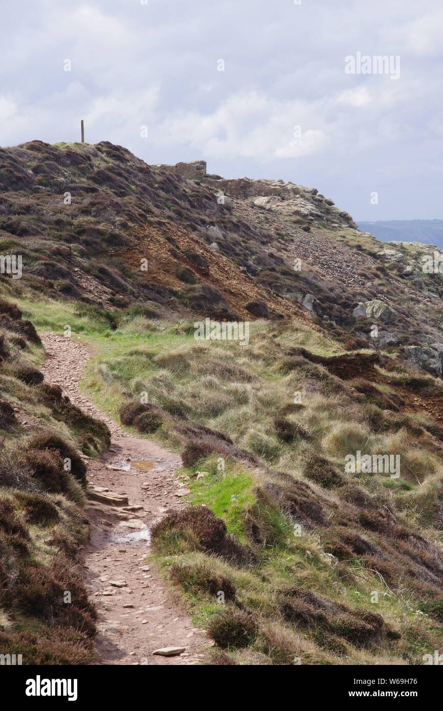 South West Coastal Path around St Agnes head through Coastal Heathland on a Spring Day. Cornwall, UK. Stock Photo
