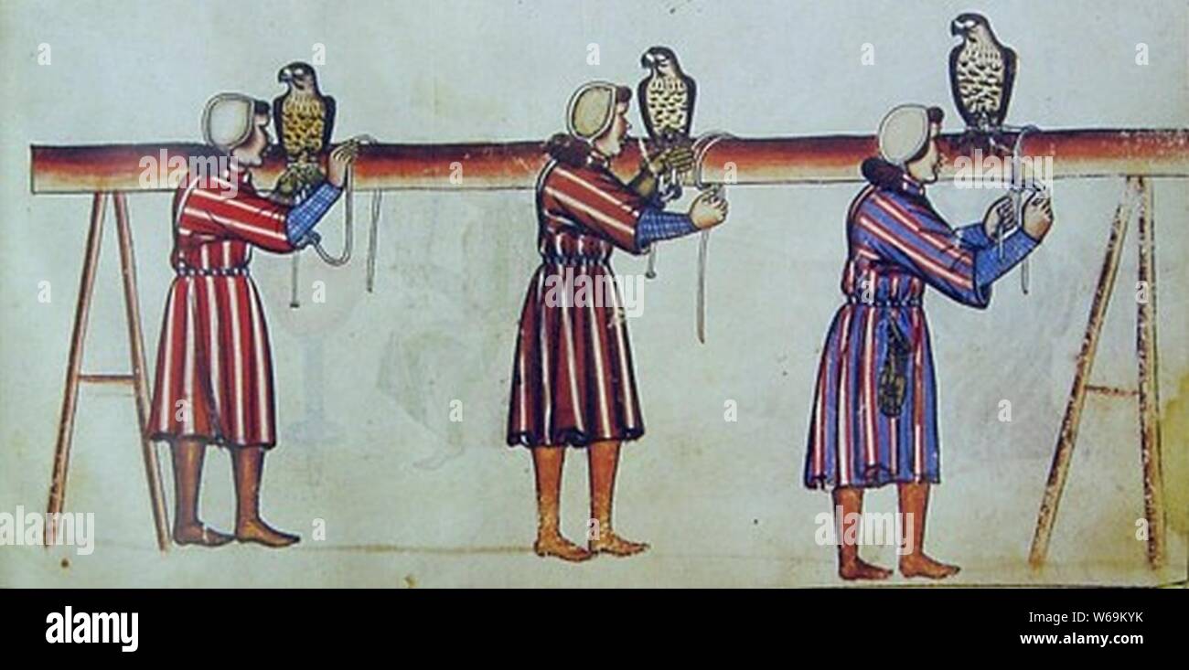 De arte venandi cum avibus Stock Photo Alamy