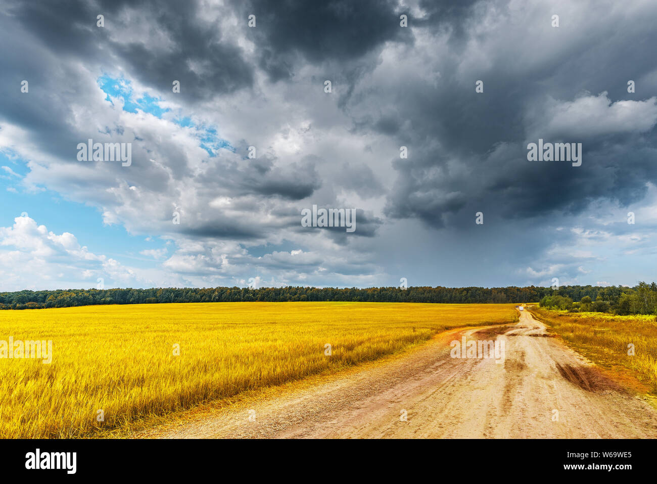 Field with rye and road under the stormy clouds Stock Photo - Alamy