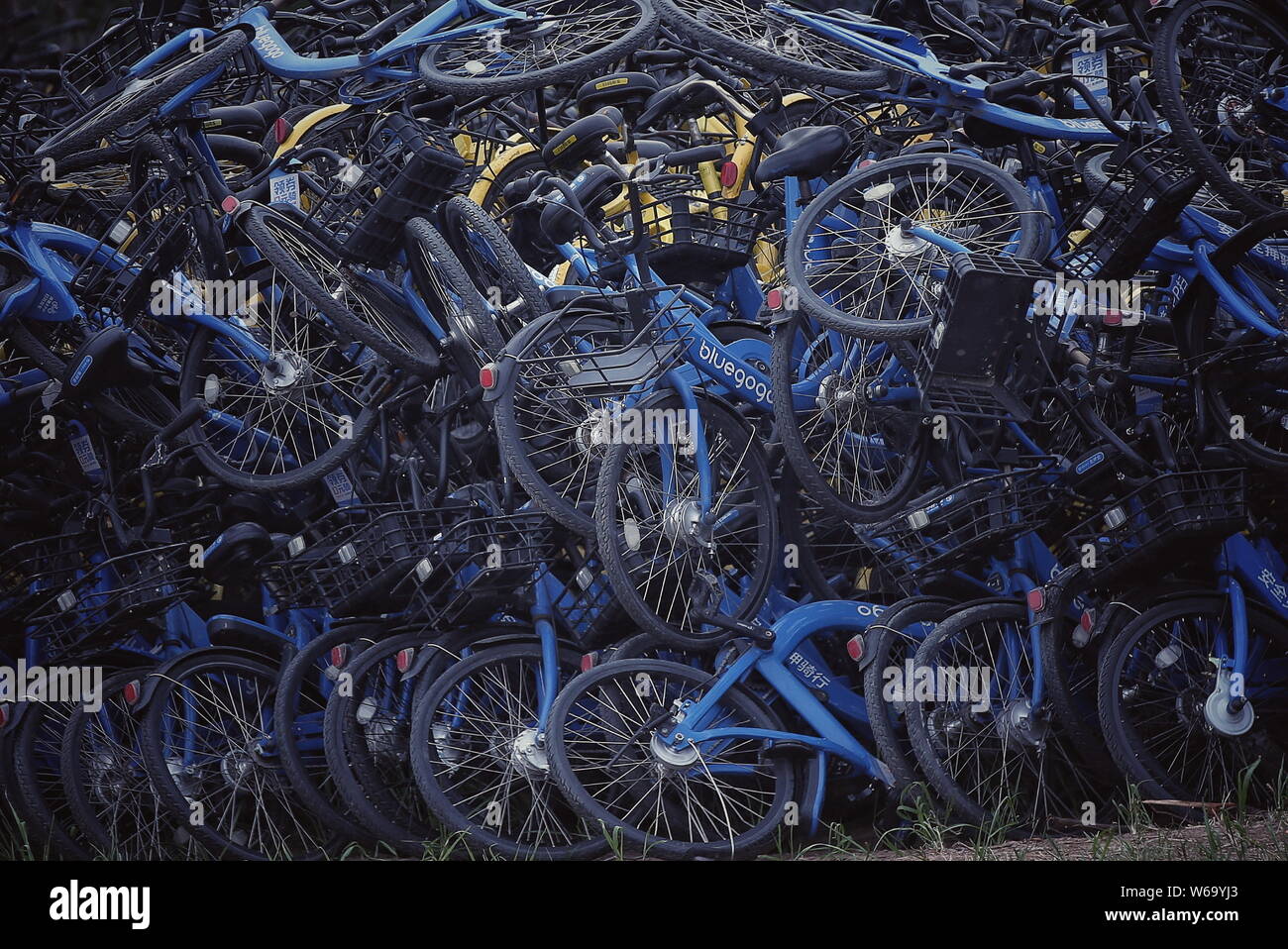 Bicycles of Chinese bike-sharing service Bluegogo are piled up in an  abandoned brick factory in Wangzuo town, Fengtai district, Beijing, China, 6  June Stock Photo - Alamy