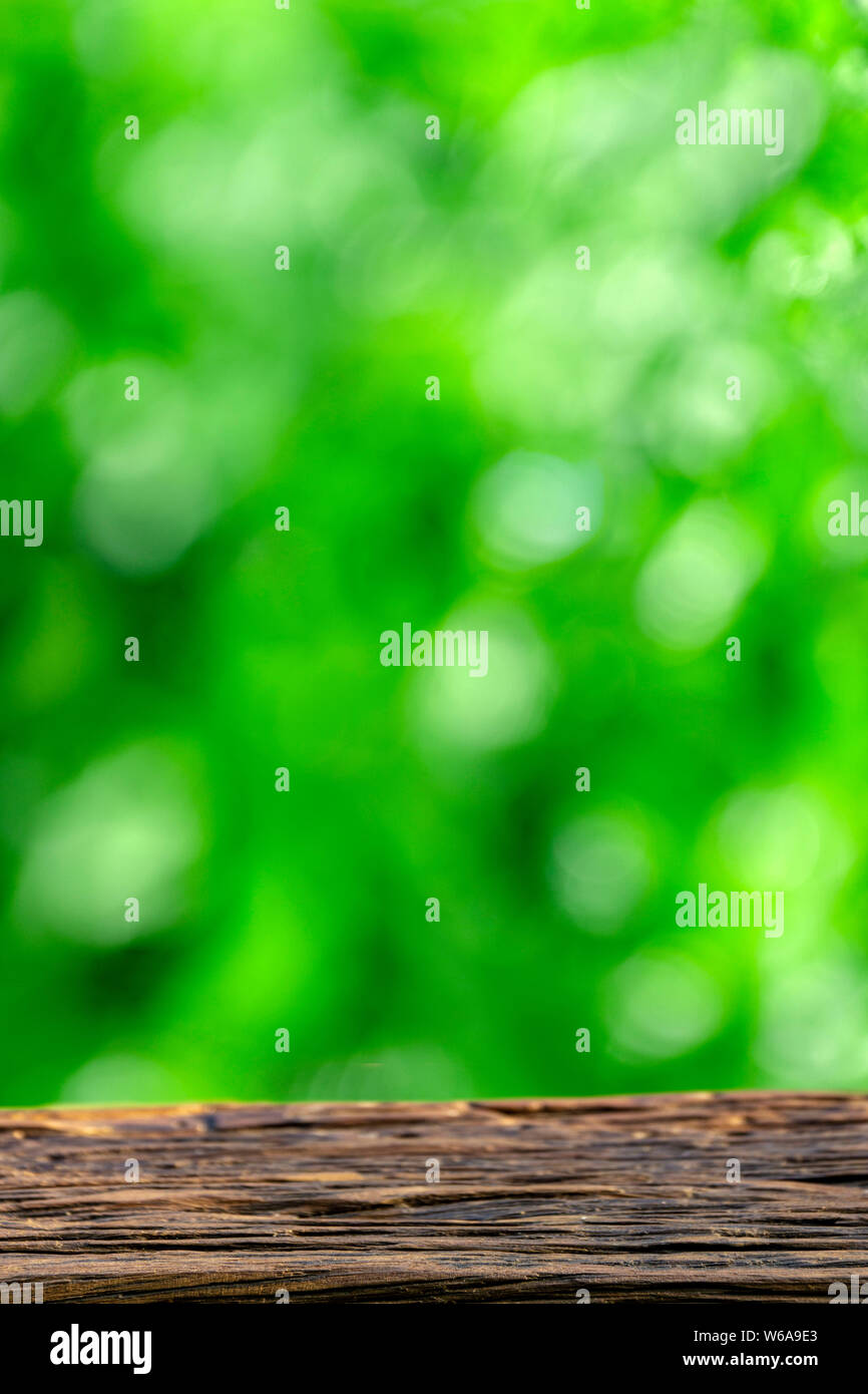 Blur green background hi-res stock photography and images - Alamy