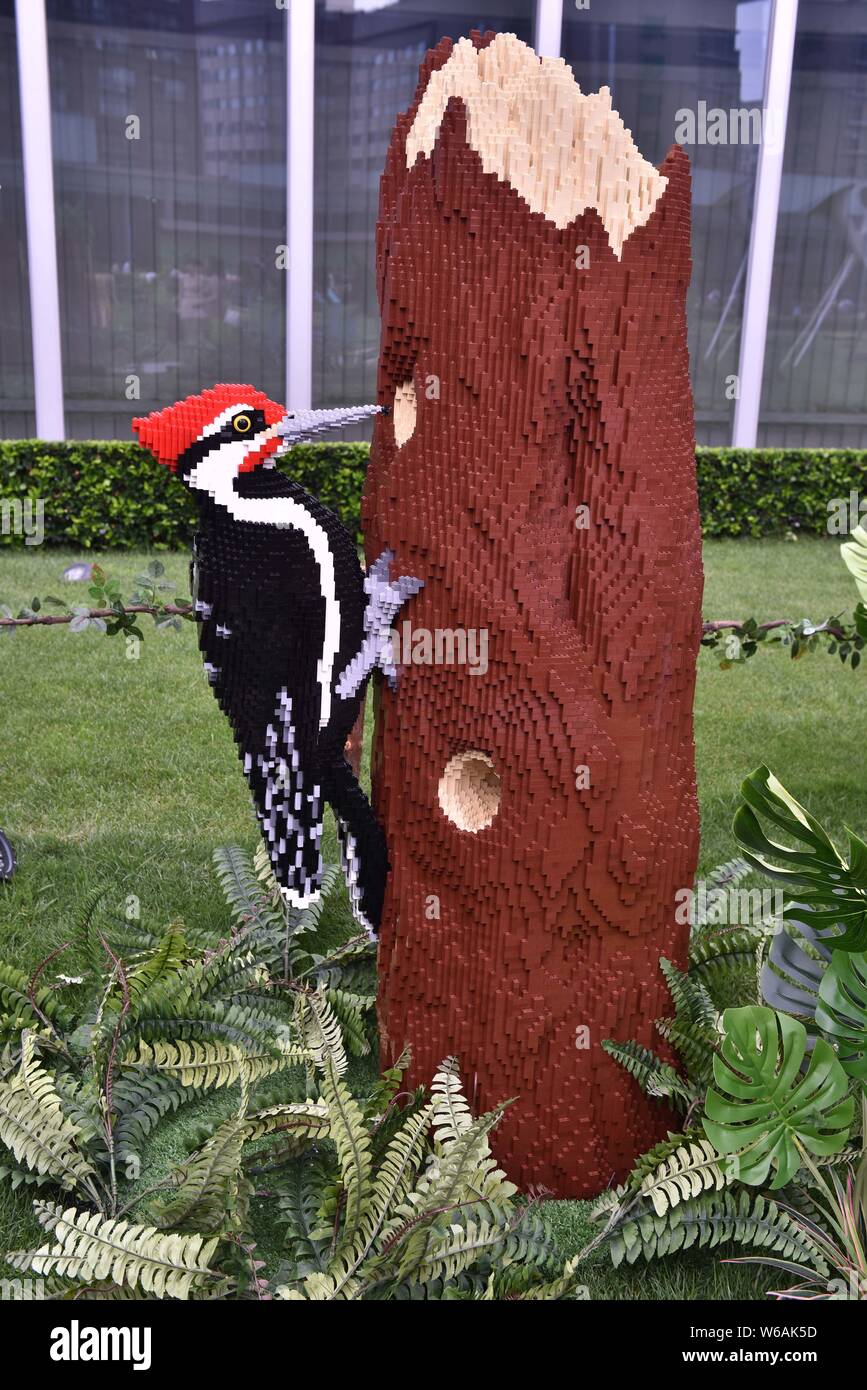 A Lego sculpture of woodpecker created by New York-based artist Sean Kenney is on display during the 'Nature Connects' Lego exhibition at the Chengdu Stock Photo