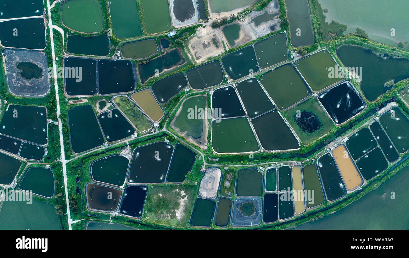 An Aerial View Of The Haikou-Jiangdong New District Of China (Hainan ...