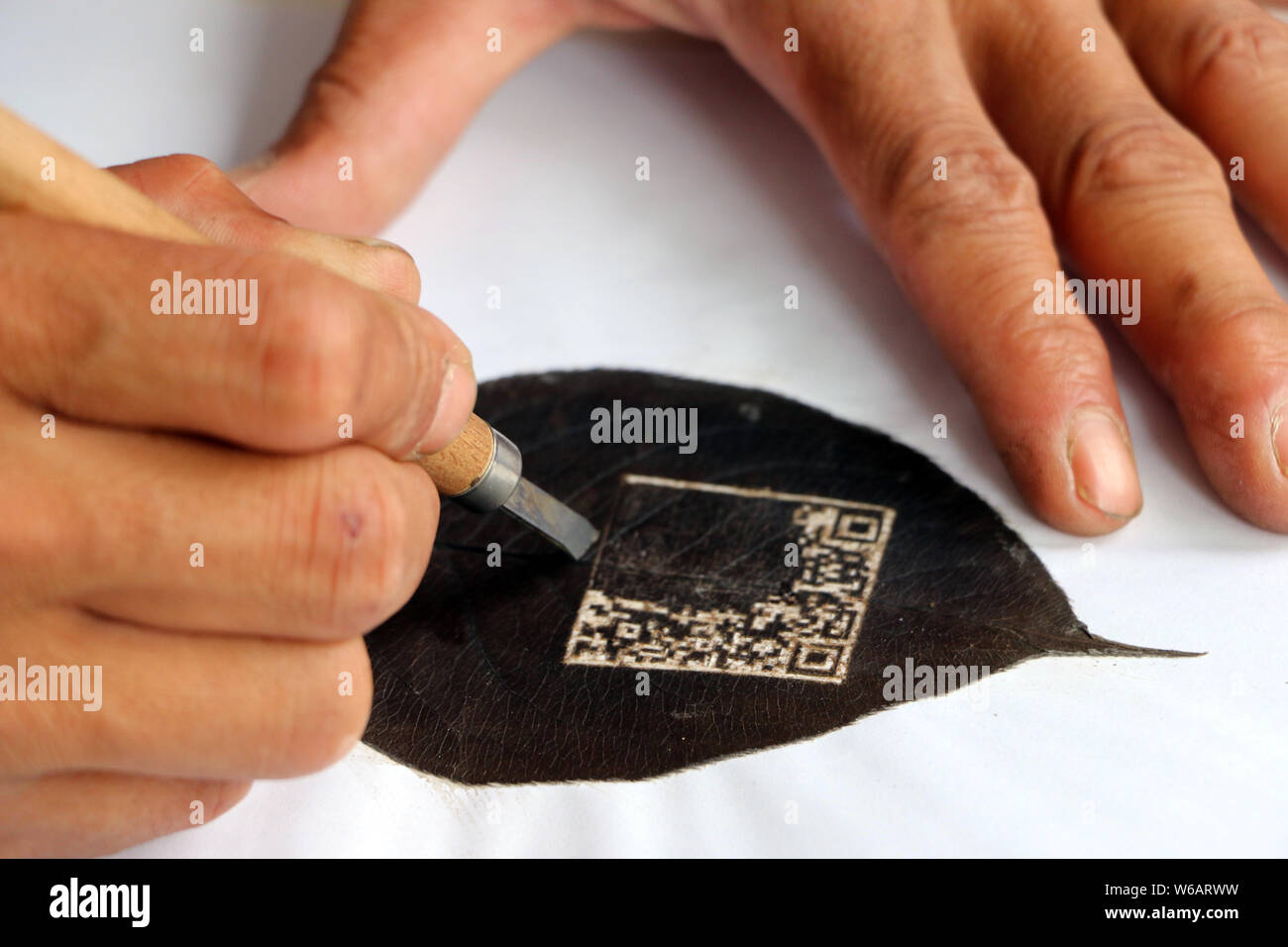Chinese craftsman Kong Qingsi carves a processed leaf into his QR code of the messaging app Weixin, or WeChat, of Tencent in Shiqiang town, Zoucheng c Stock Photo