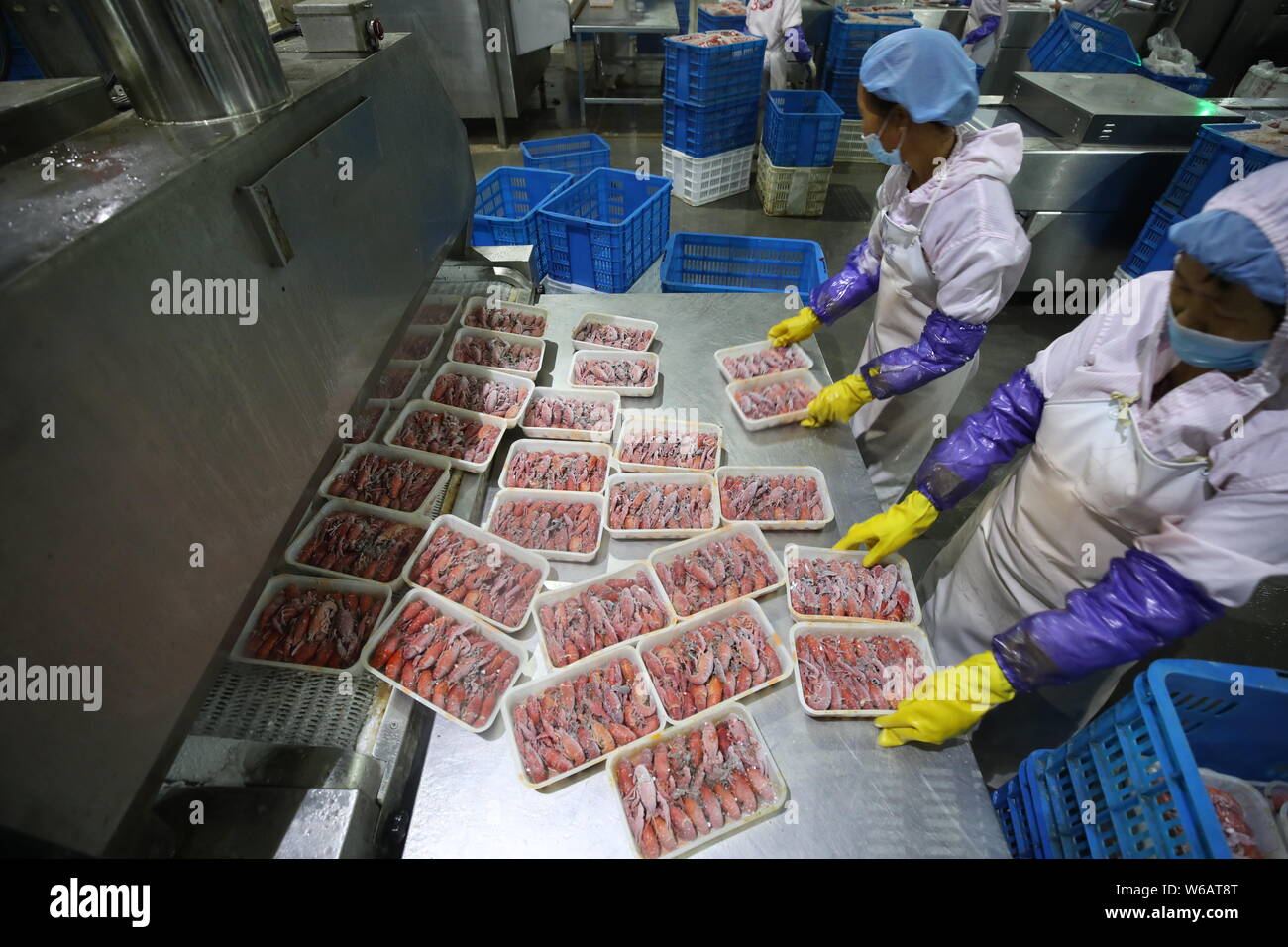 Chinese workers process crayfish to be served during the 2018 Russia ...