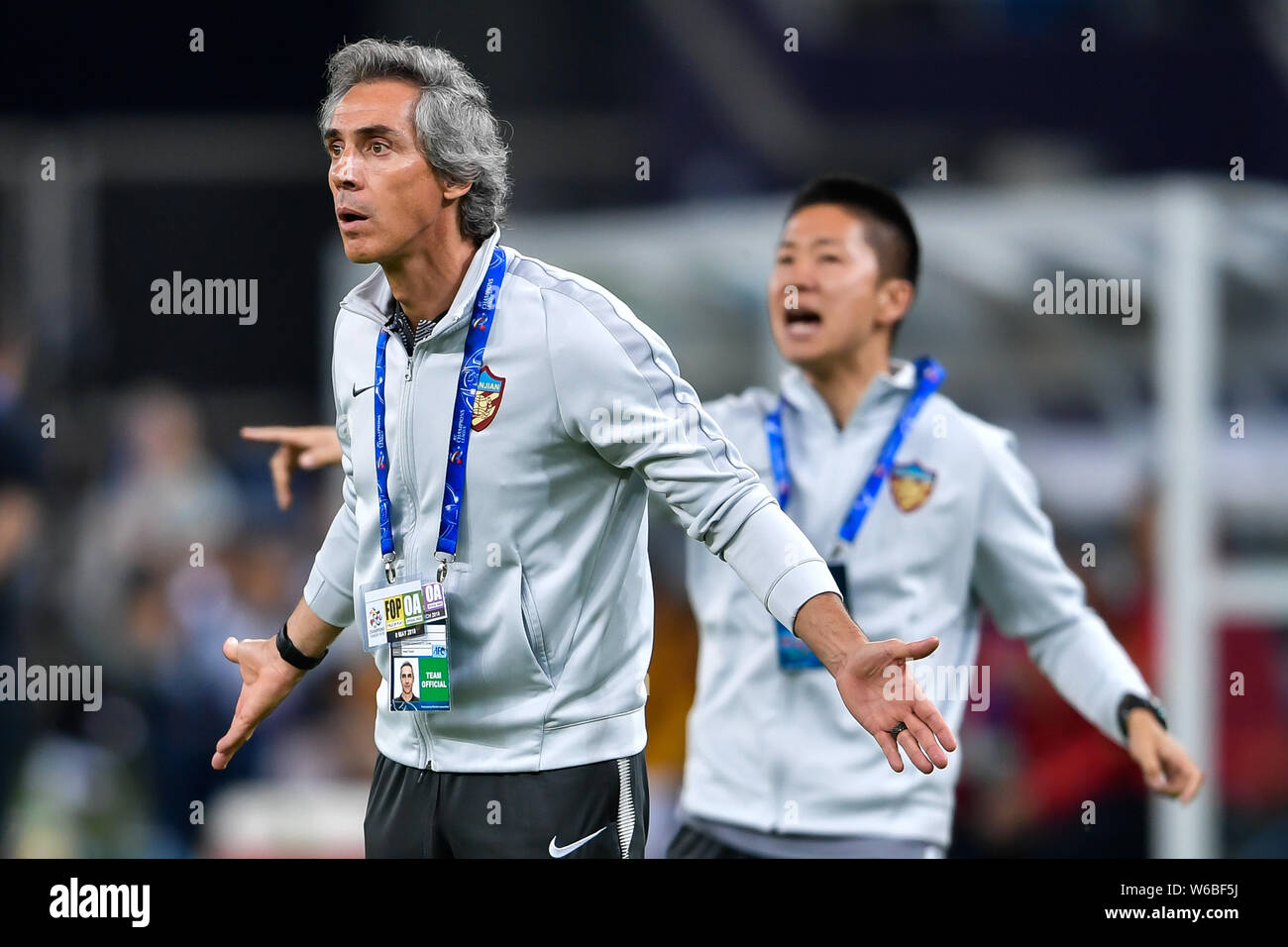 Paulo Sousa - Married Wiki Bio  Paulo, National championship, European  championships