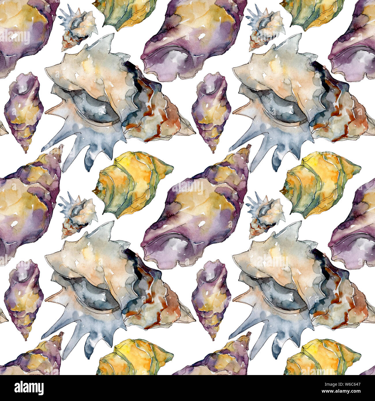 Summer beach seashell tropical elements. Watercolor illustration set ...