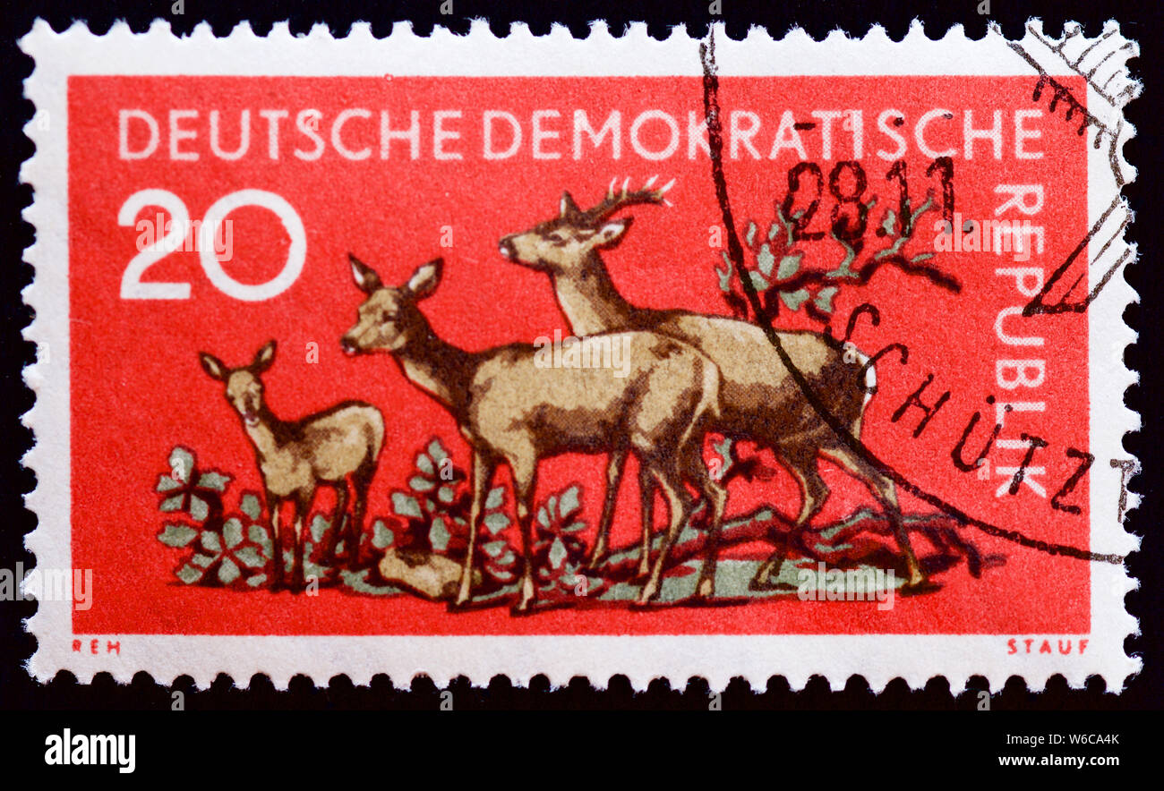 east-germany-postage-stamp-roe-deer-stock-photo-alamy