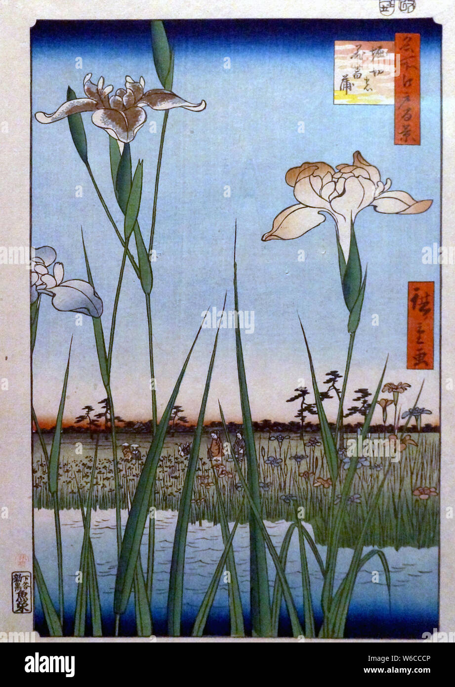 One Hundred Famous Views of Edo: Horikiri Iris Garden, woodblock print, by Utagawa Hiroshige, 1857 Stock Photo